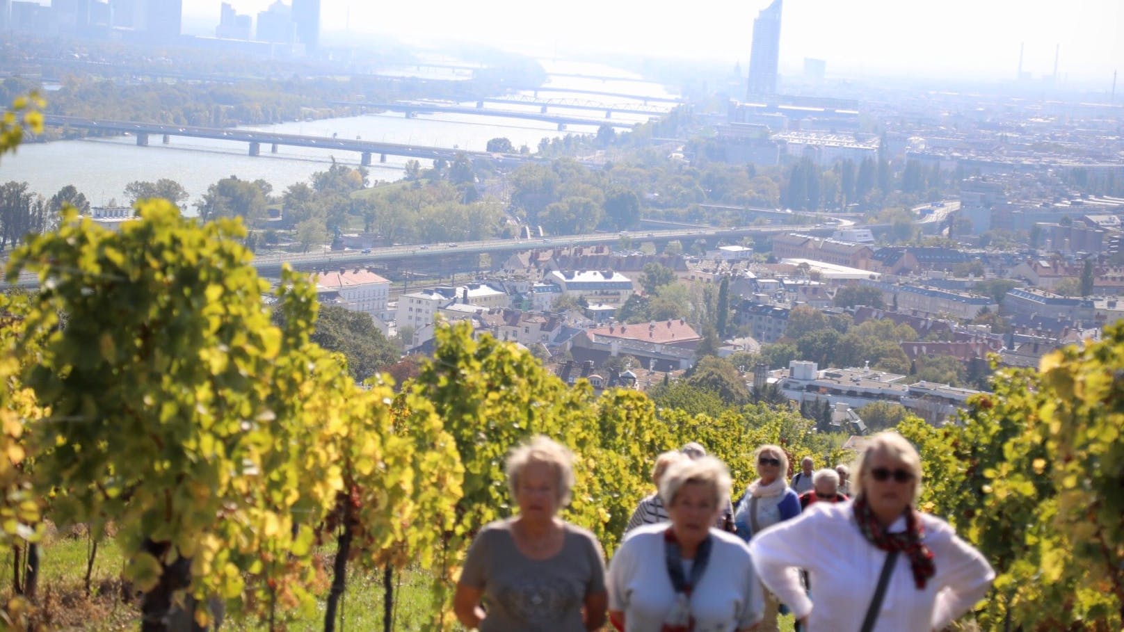 Rot oder weiß – Beim Weinwandern hat man die Wahl