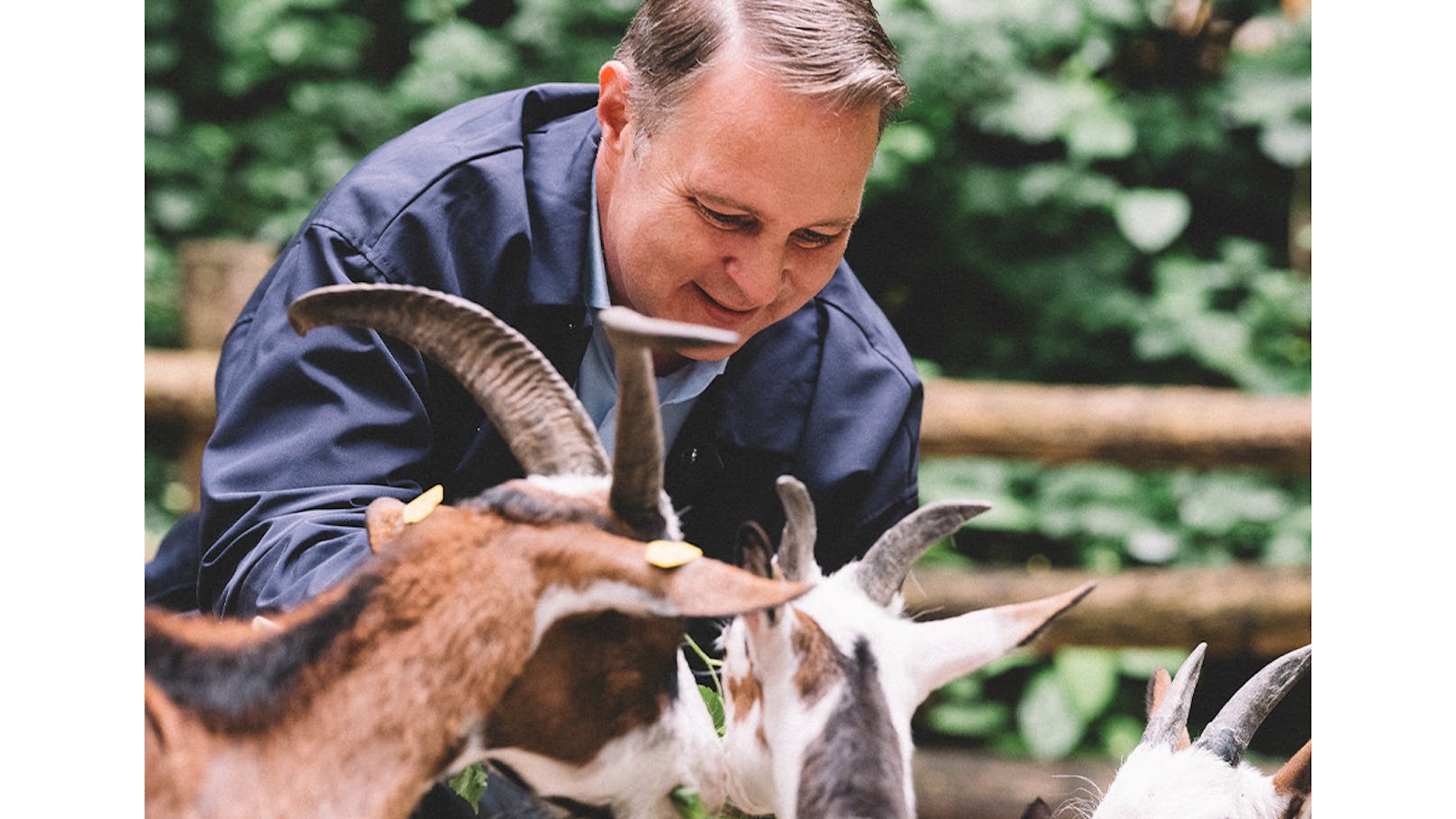 "Mit Herz + Hirn" will SPÖ-Spitzenkandidat, Andreas Babler, die Nation leiten – bekommt er die nötigen Stimmen?