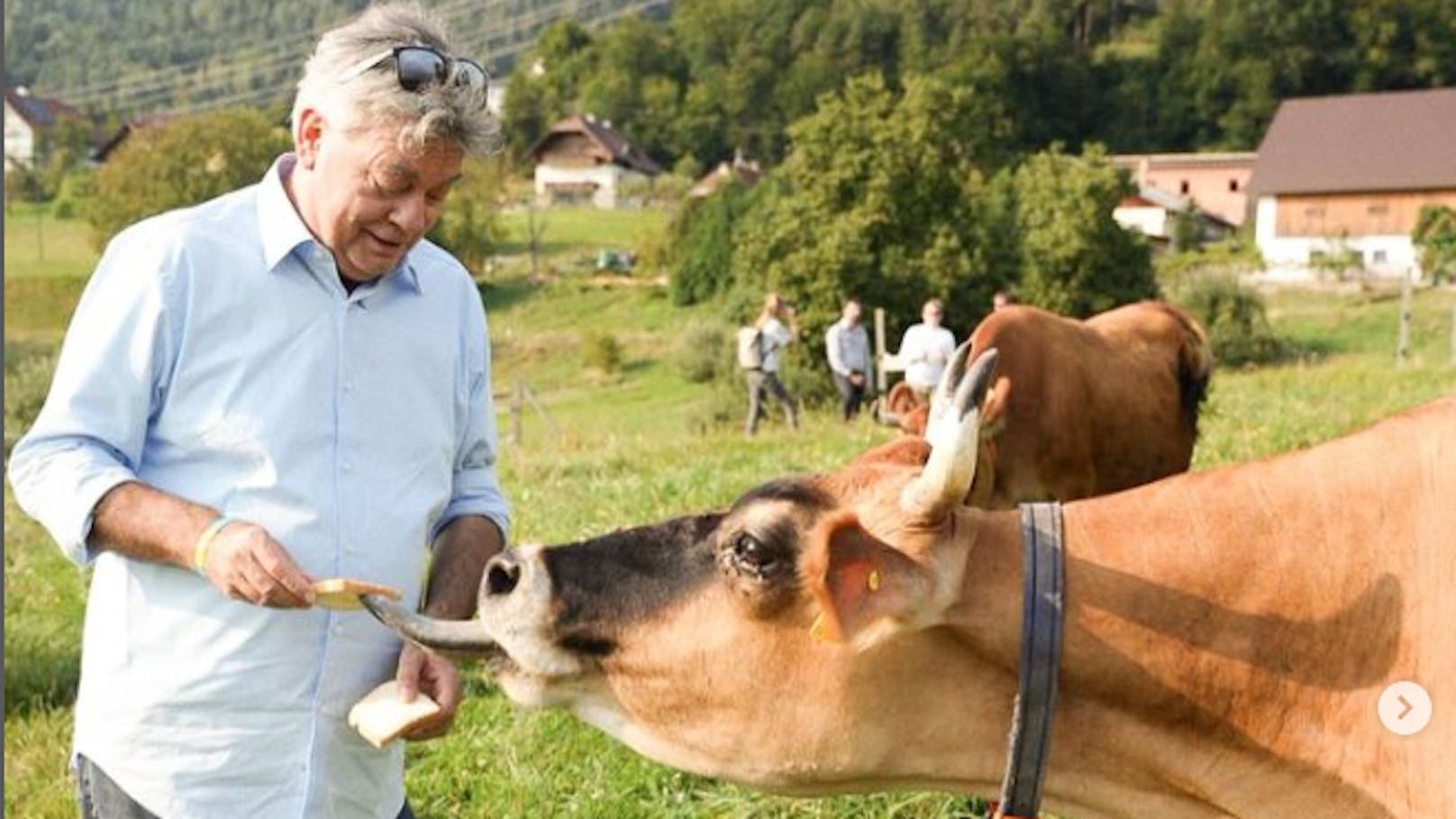 Der Vizekanzler, Werner Kogler, warnt: "Ohne uns wird Klimaschutz abgedreht".