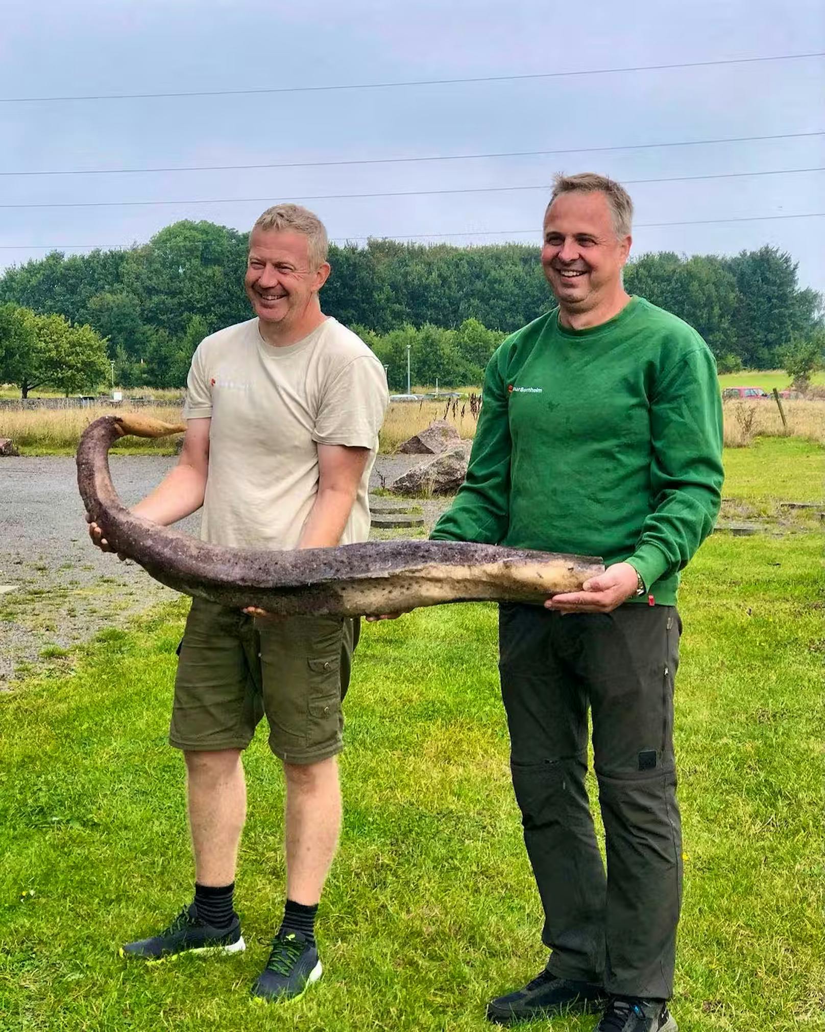 Auf der dänischen Insel Bornholm entdeckten Umweltschützer etwas, das sie zunächst für eine Seeschlange hielten.