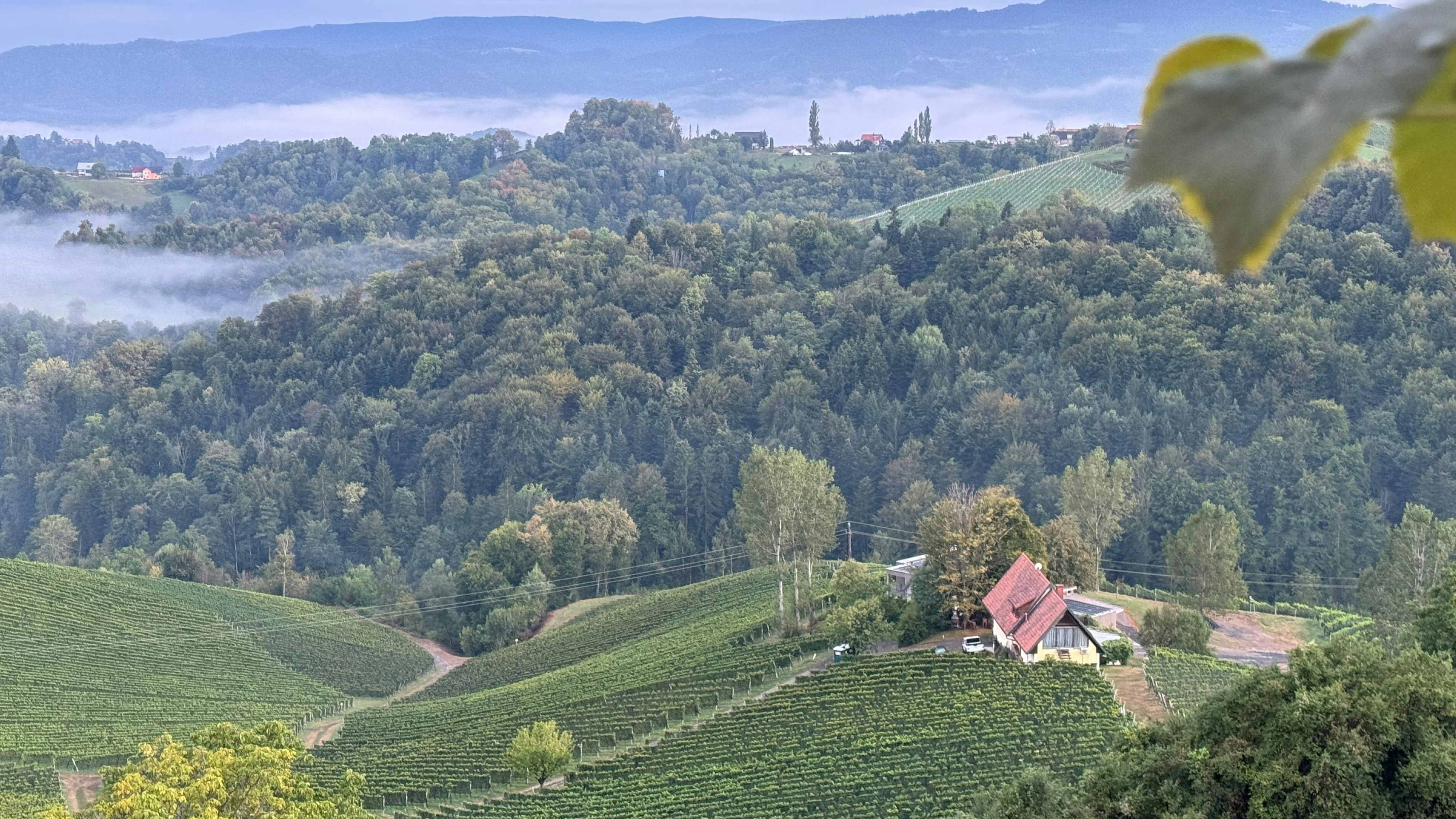 Es herbstelt - die wunderschöne Südsteiermark!