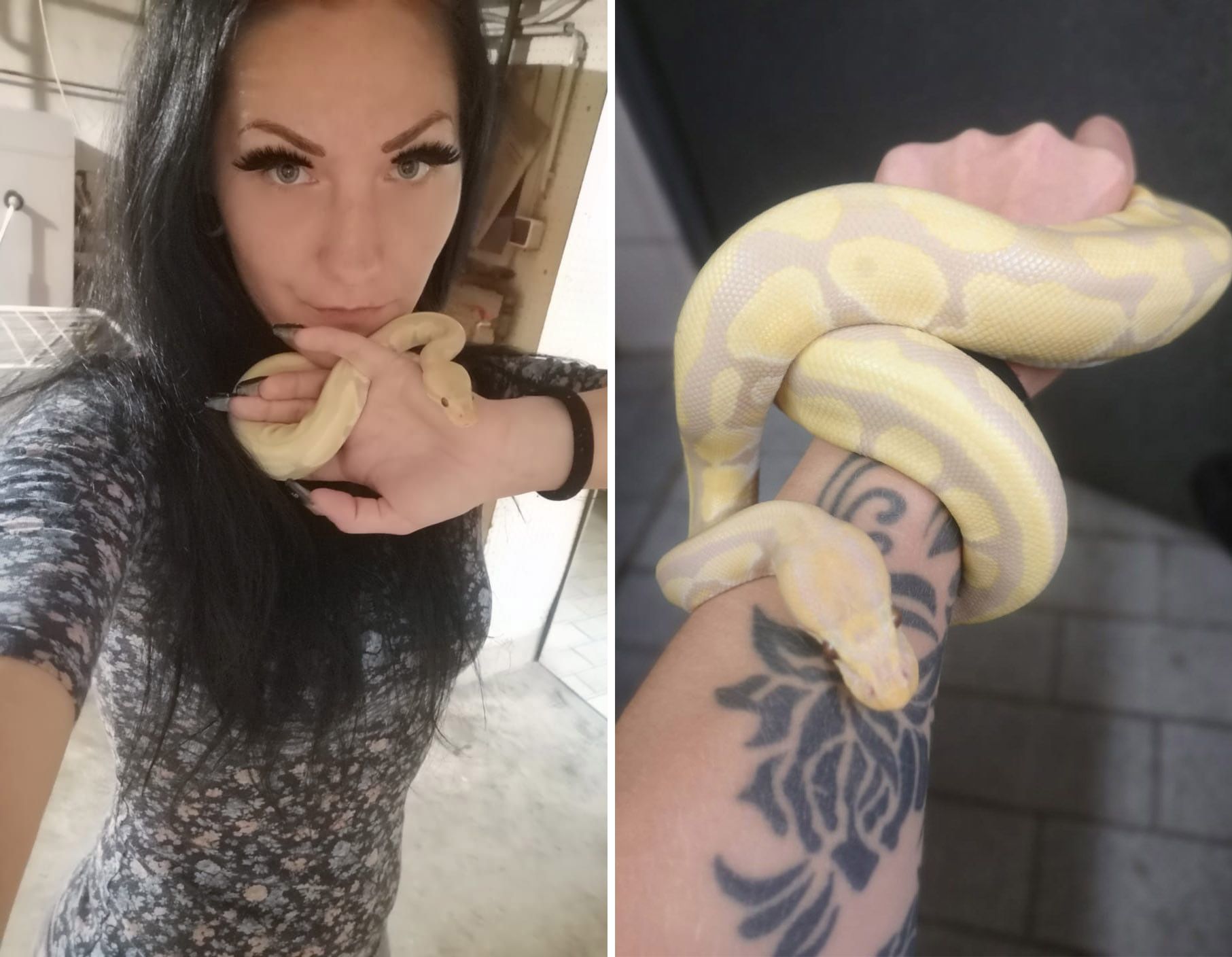 Simone W. mit ihrem Albino-Königspython 