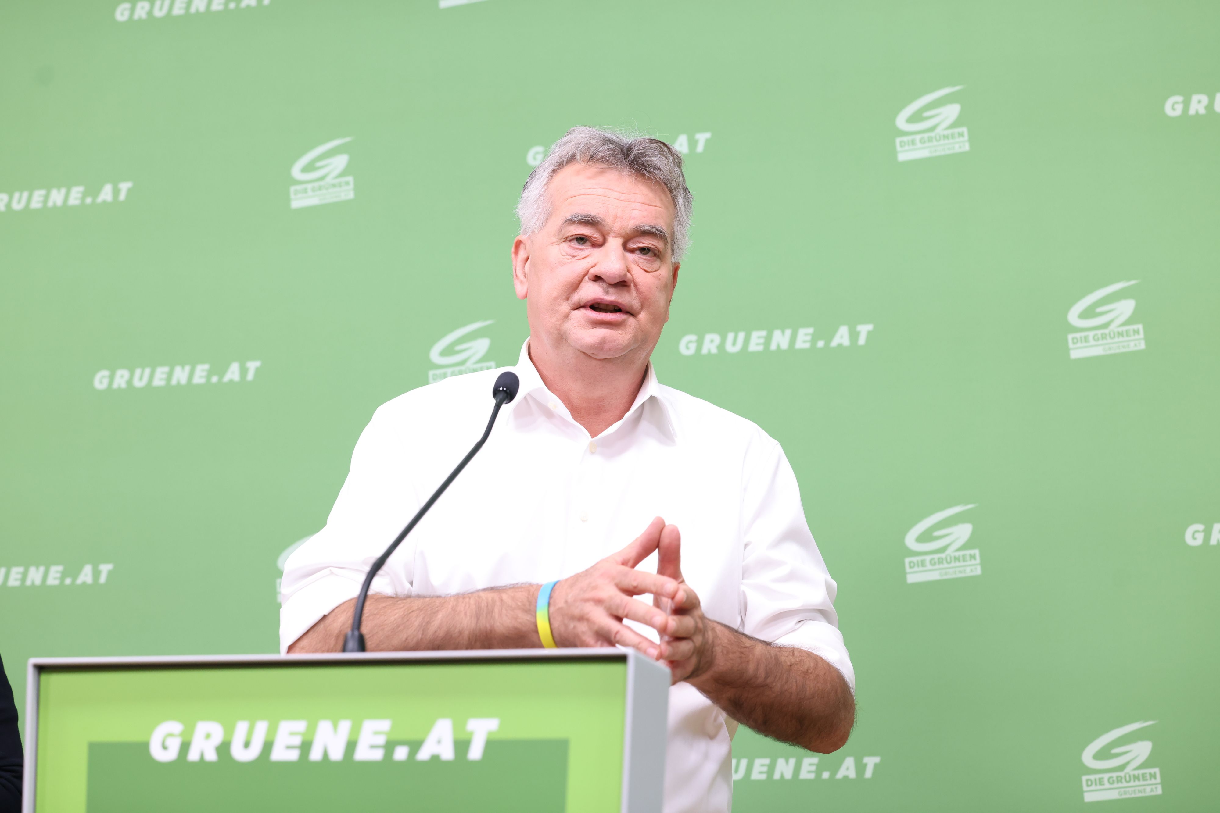 Grünen-Bundessprecher Werner Kogler