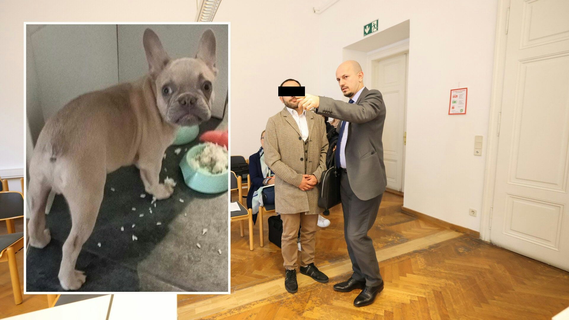 Wiener ertränkte Bulldogge: "Dachte, er frisst mich"