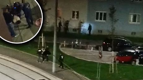 Festnahme in Wien (Symbolfoto)