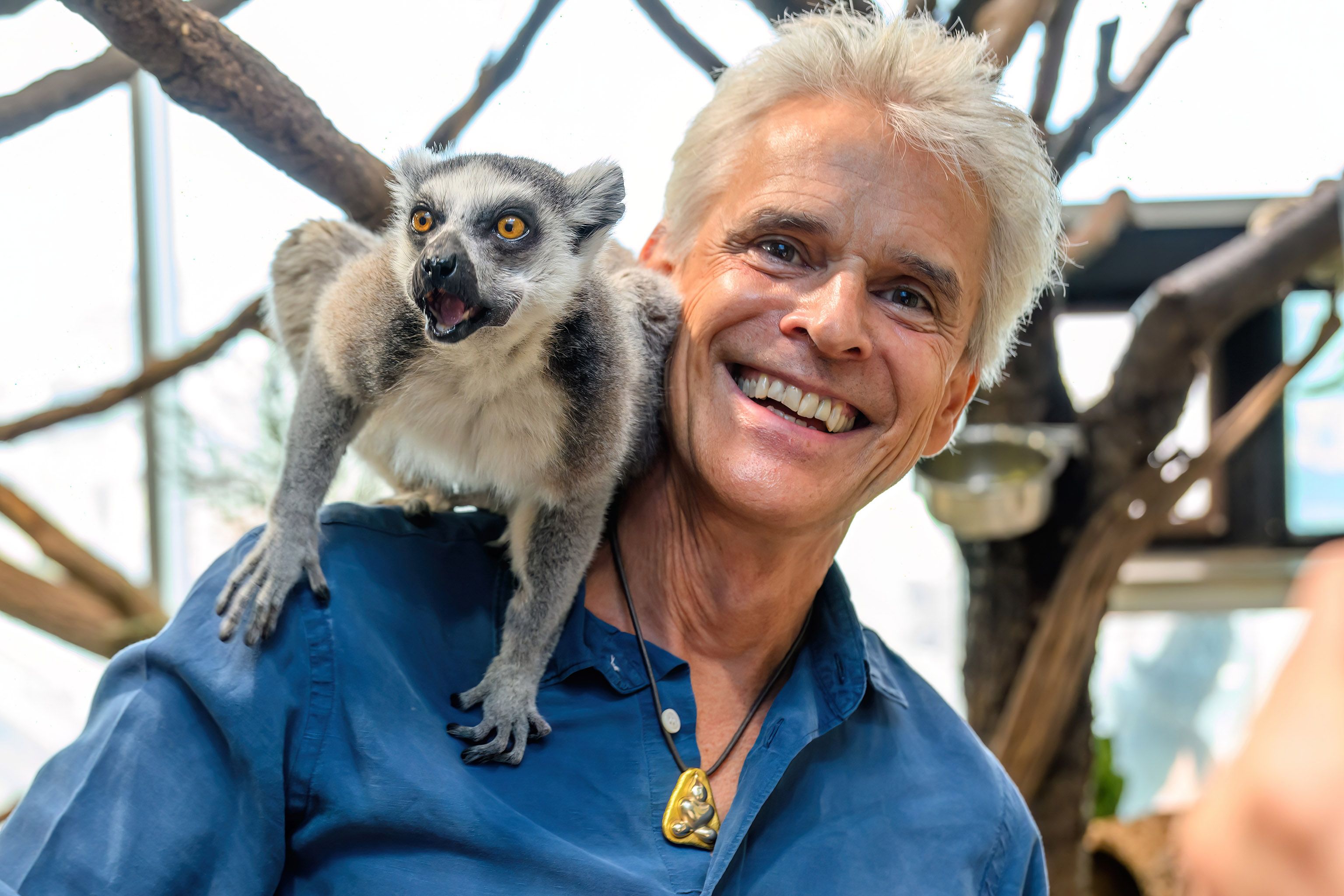 Brezina mit Patentier Max - der kleine Lemur hat seine ursprüngliche Heimat in der französischen Republik Madagaskar im Indischen Ozean vor der Küste Ostafrikas