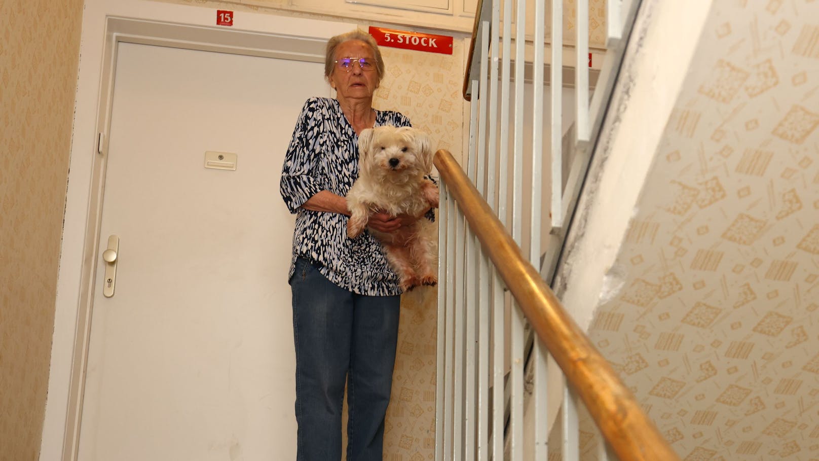 Lift kaputt– Seniorin muss Hund in 5. Stock schleppen