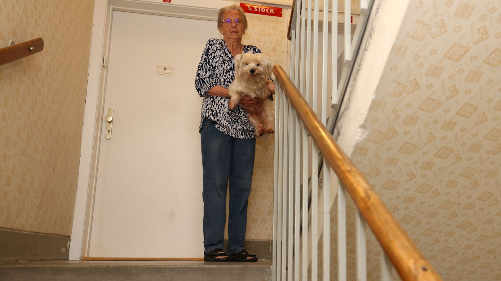 Lift kaputt– Seniorin muss Hund in 5. Stock schleppen