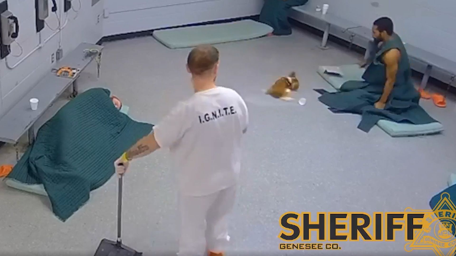 Der 27-jährige Romello Maxwell hat offensichtlich auch kein Herz für Tiere.