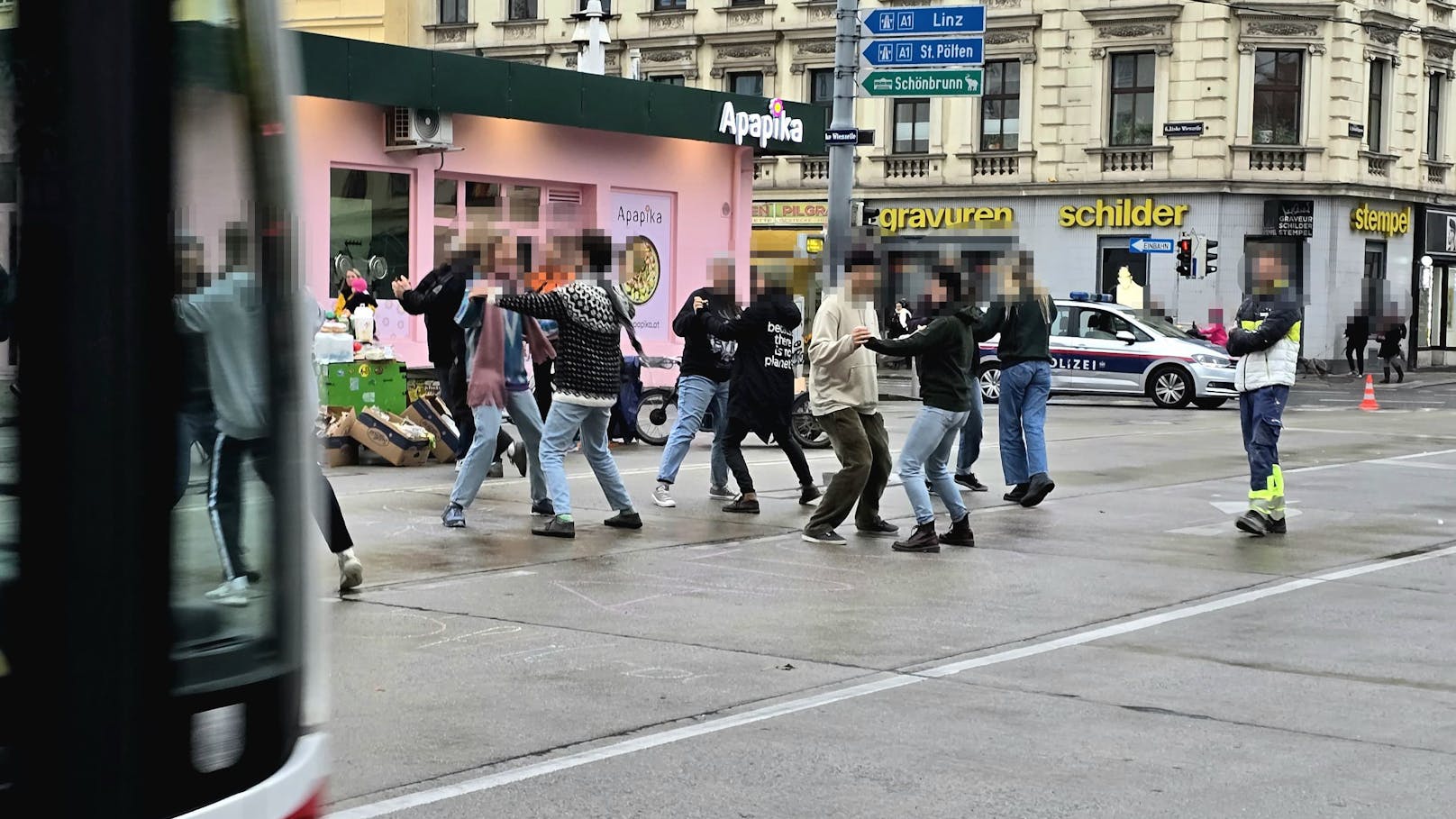 Anti-Auto-Demo sorgt für Brückensperre in Wien