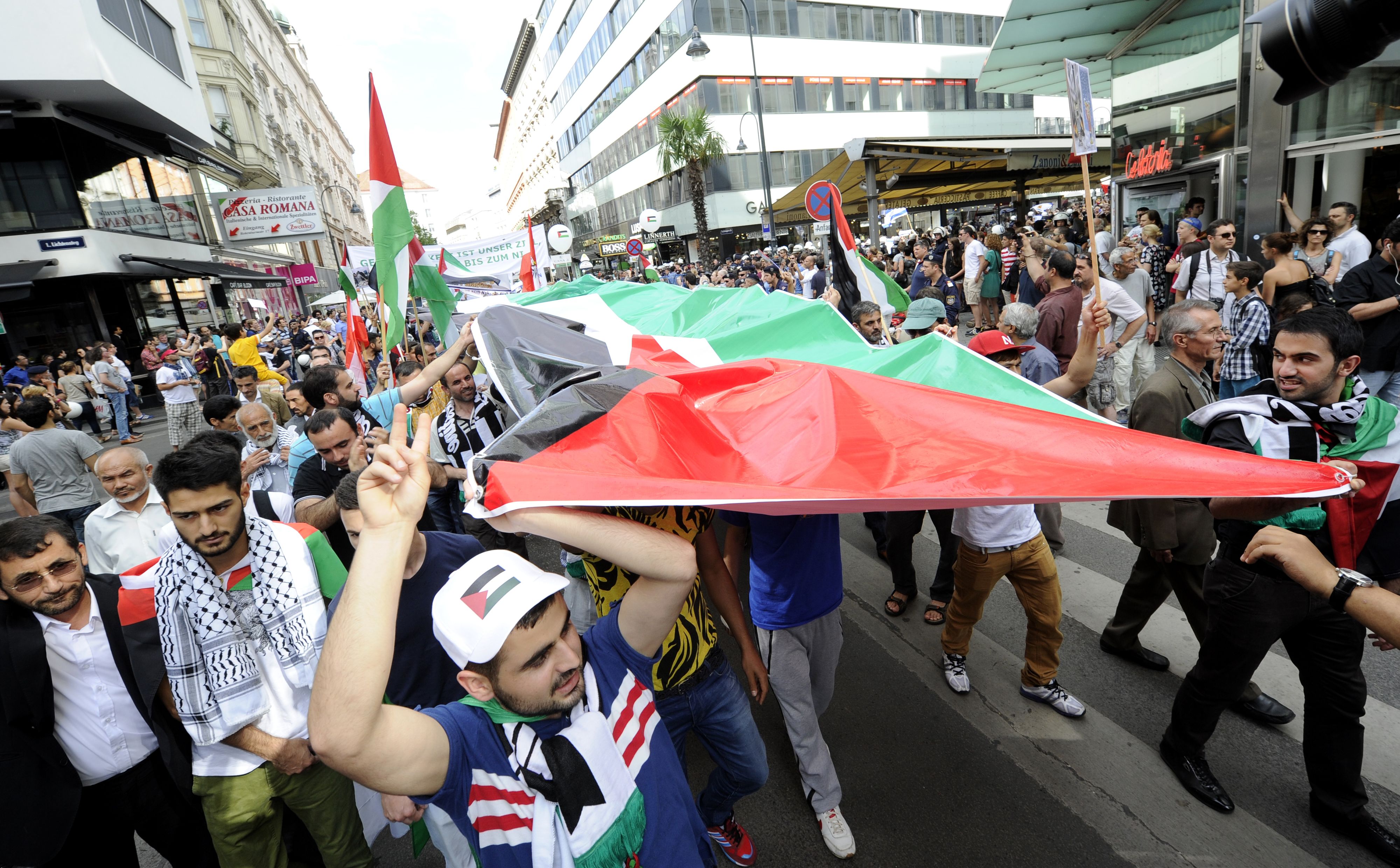 Früherer Protest in Wien gegen Israel.