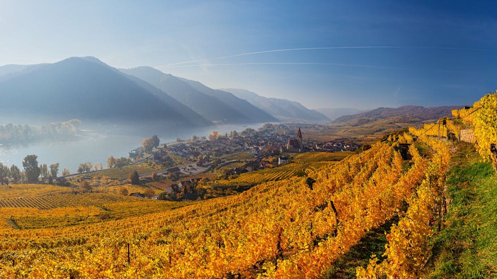 Heute.at - Bis zu 20 Grad – dieses Wetter kommt auf Österreich zu