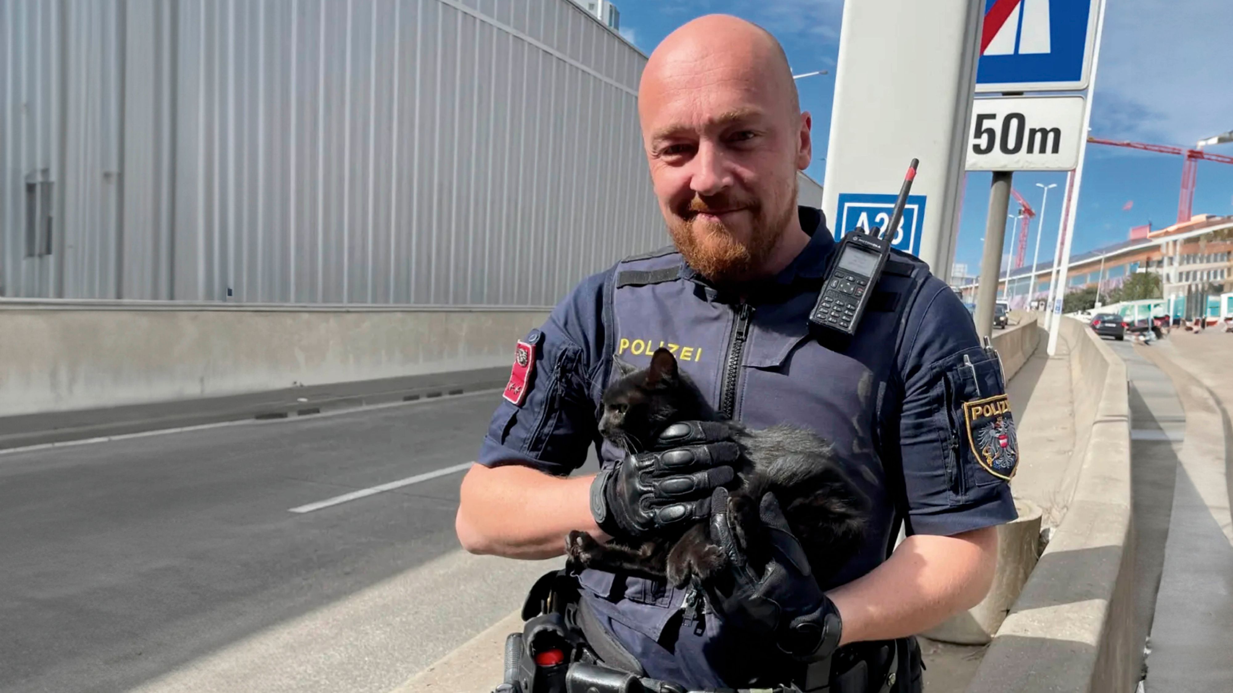 Babykatze Constanze wurde von der Polizei in Sicherheit gebracht