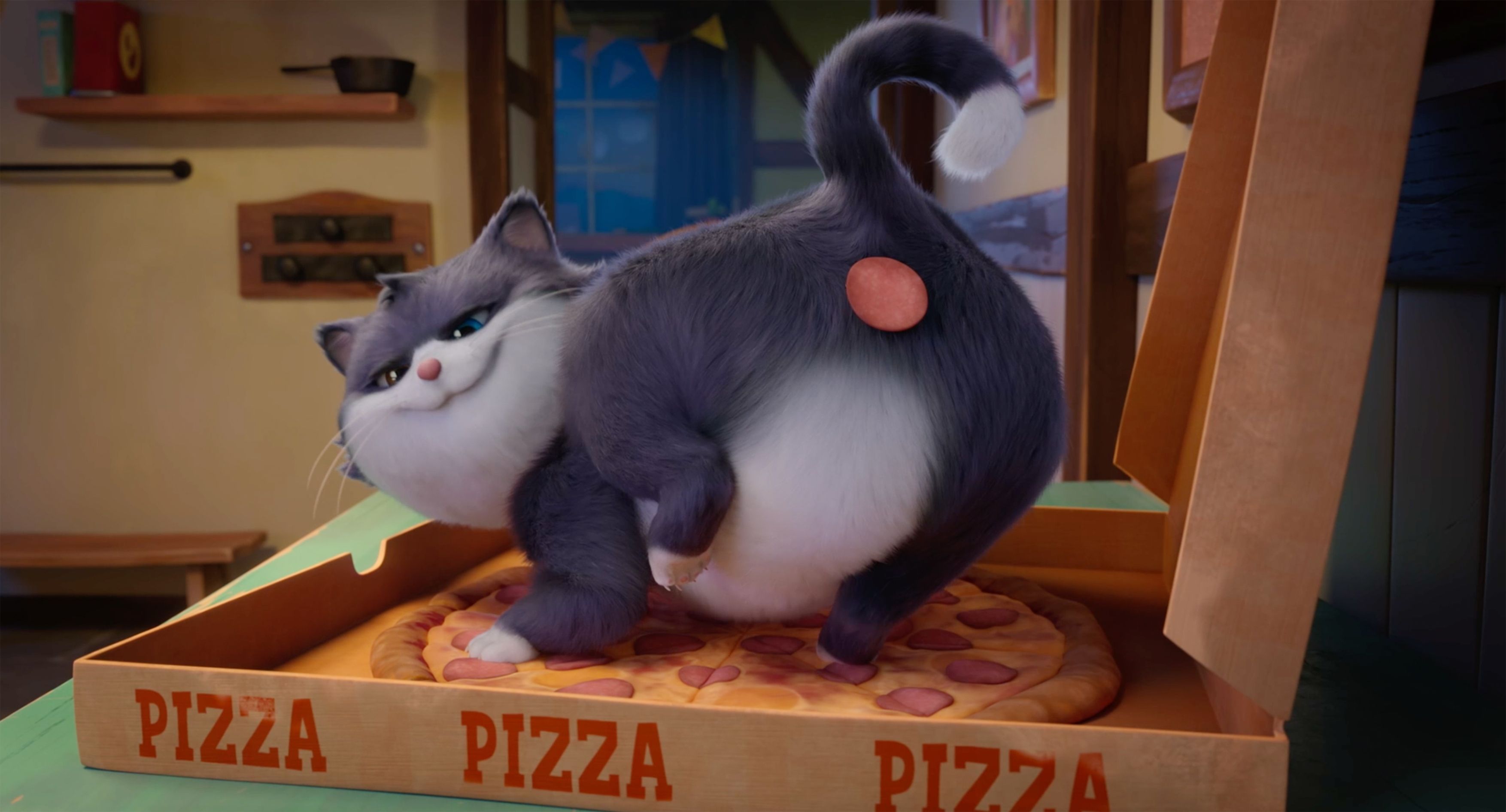 Beckett ist ein verwöhnter Kater.