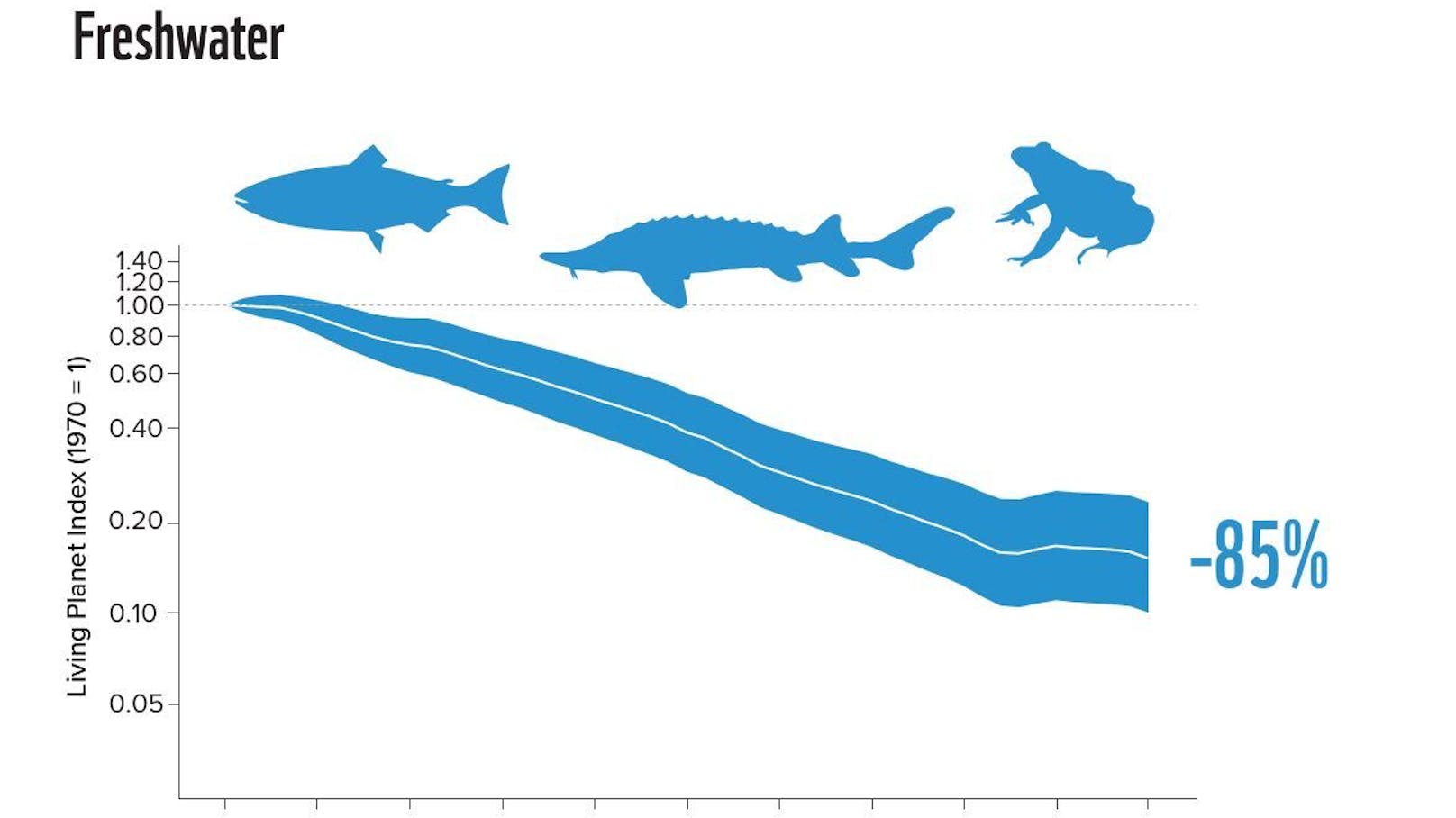 Große Rückgänge bei den tierischen Wasserbewohnern.