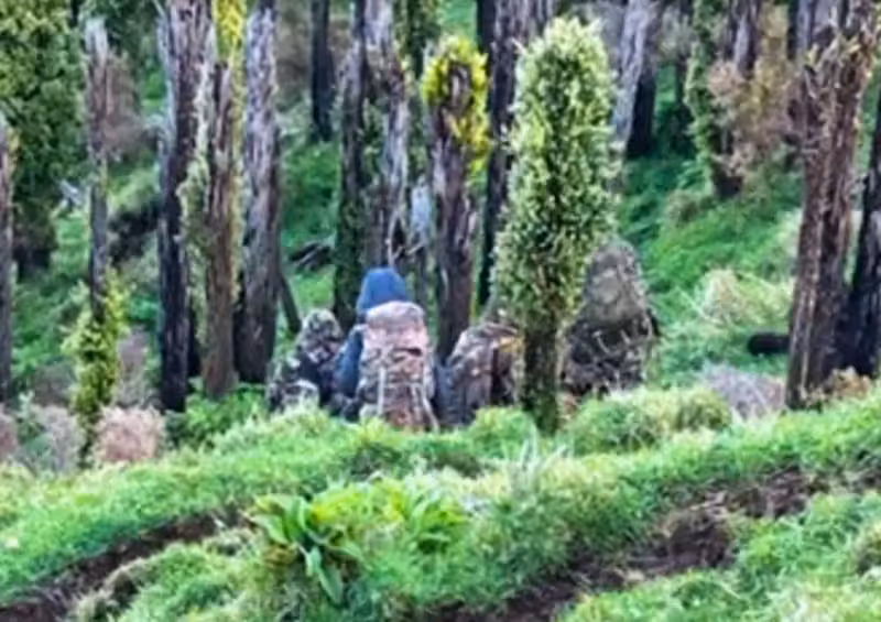 Phillips wird verdächtigt, einen bewaffneten Raubüberfall begangen zu haben.