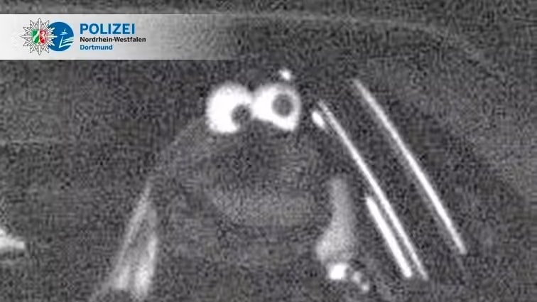 "Soll witzig sein, ist aber gefährlich", kommentierte die Polizei dieses Bild.