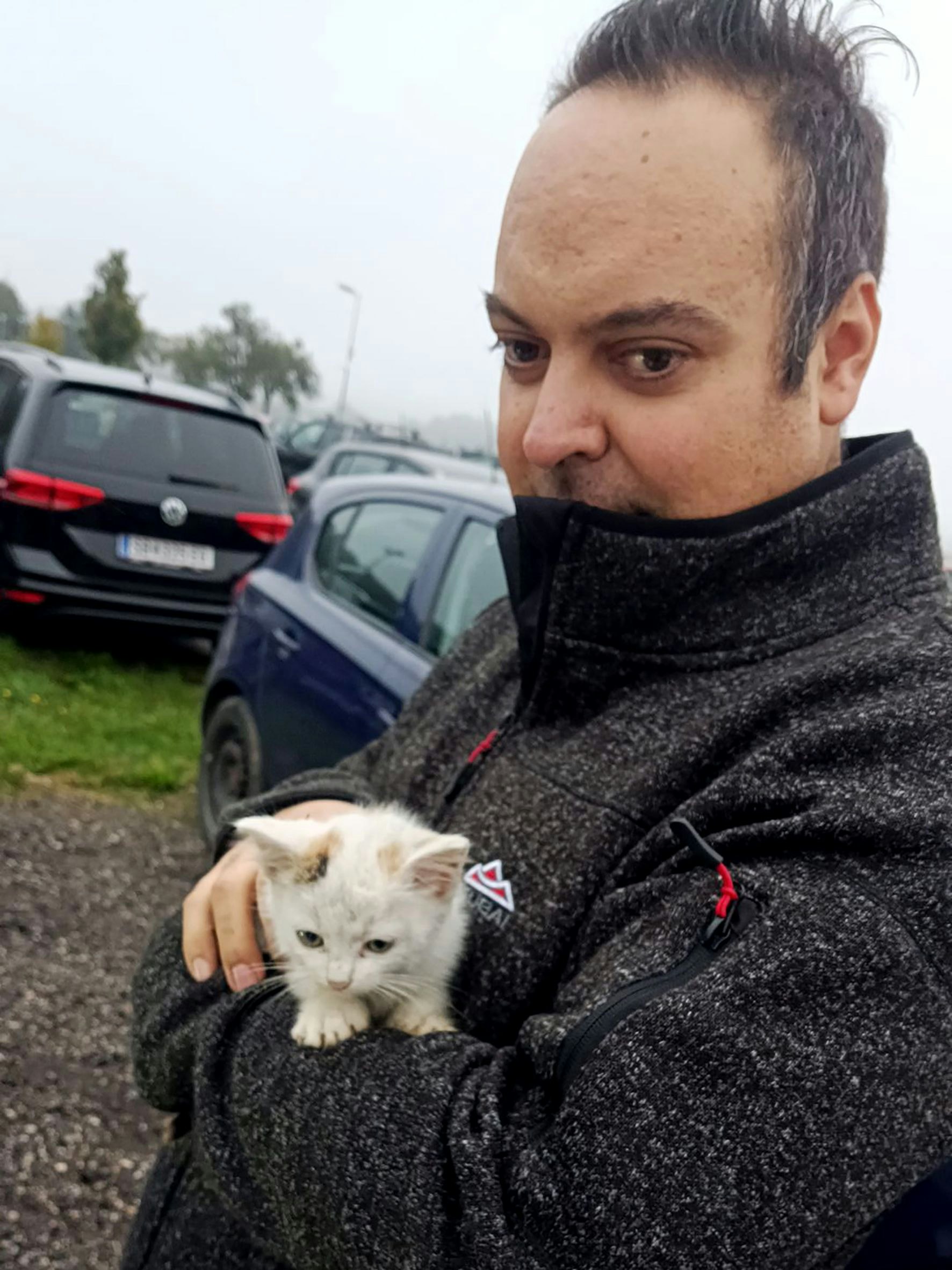 Das Kätzchen saß versteckt im Motorraum