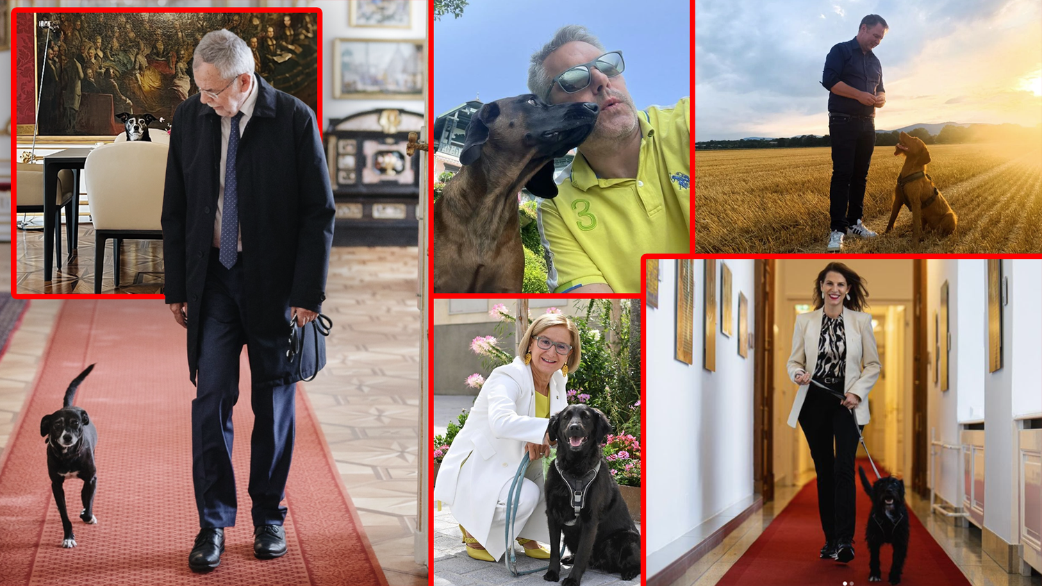 Am Welthundetag posieren auch die Politiker neben ihren Vierbeinern.