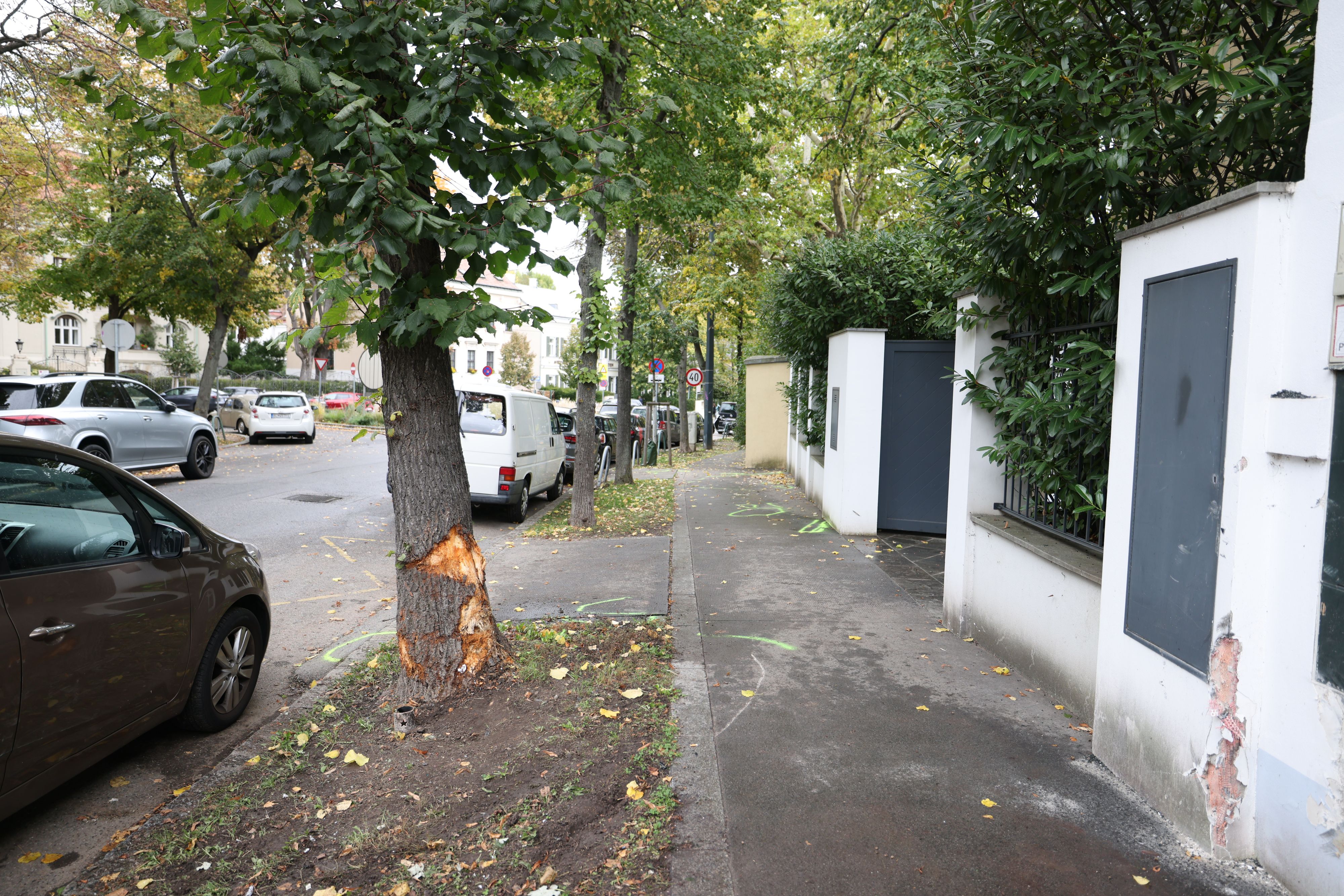 Gegen diesen Baum fuhr der 61-jährige Wiener. Er verstarb an der Unfallstelle.