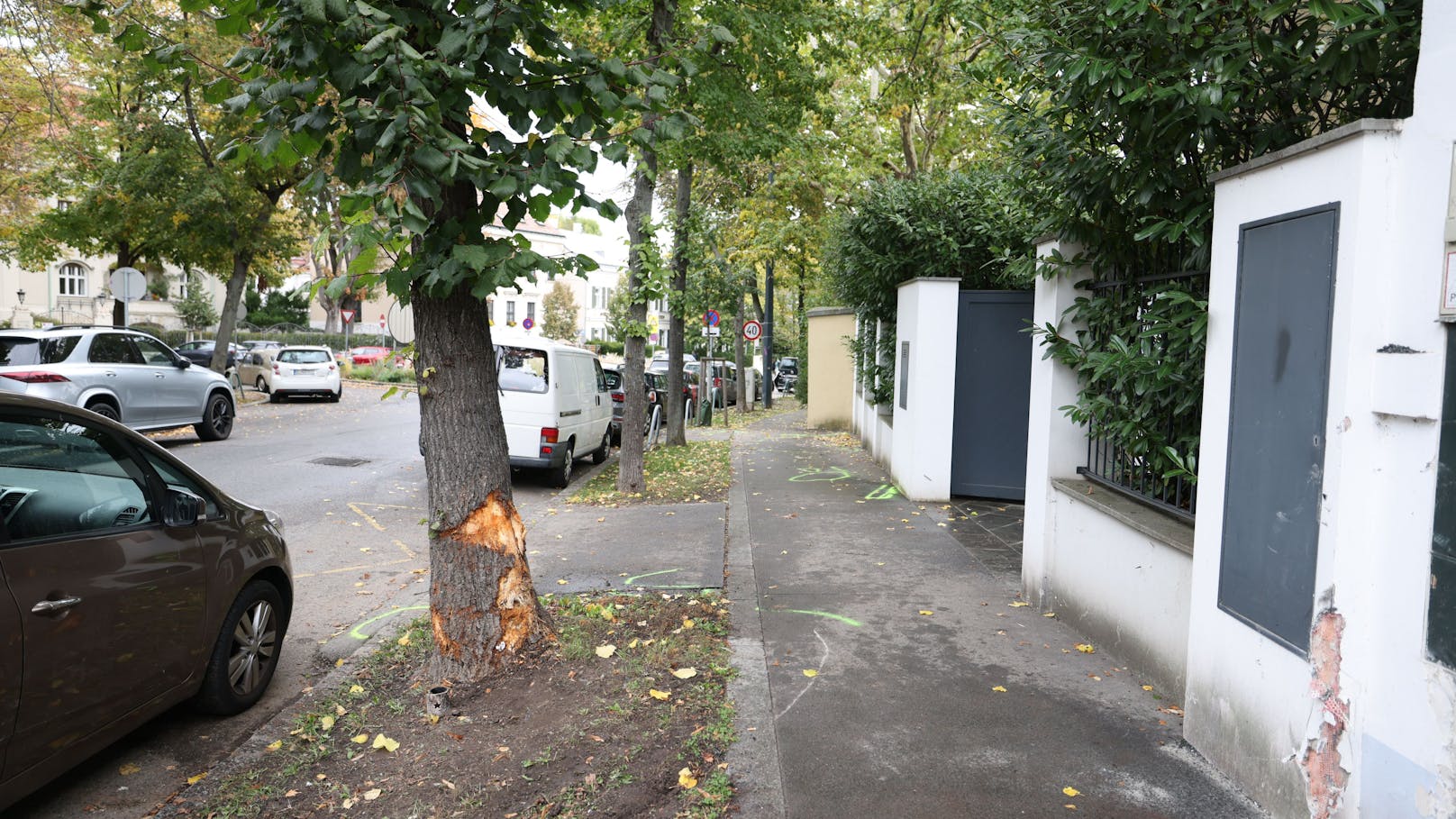 Tod in 40er-Zone: BMW-Lenker kracht gegen Baum