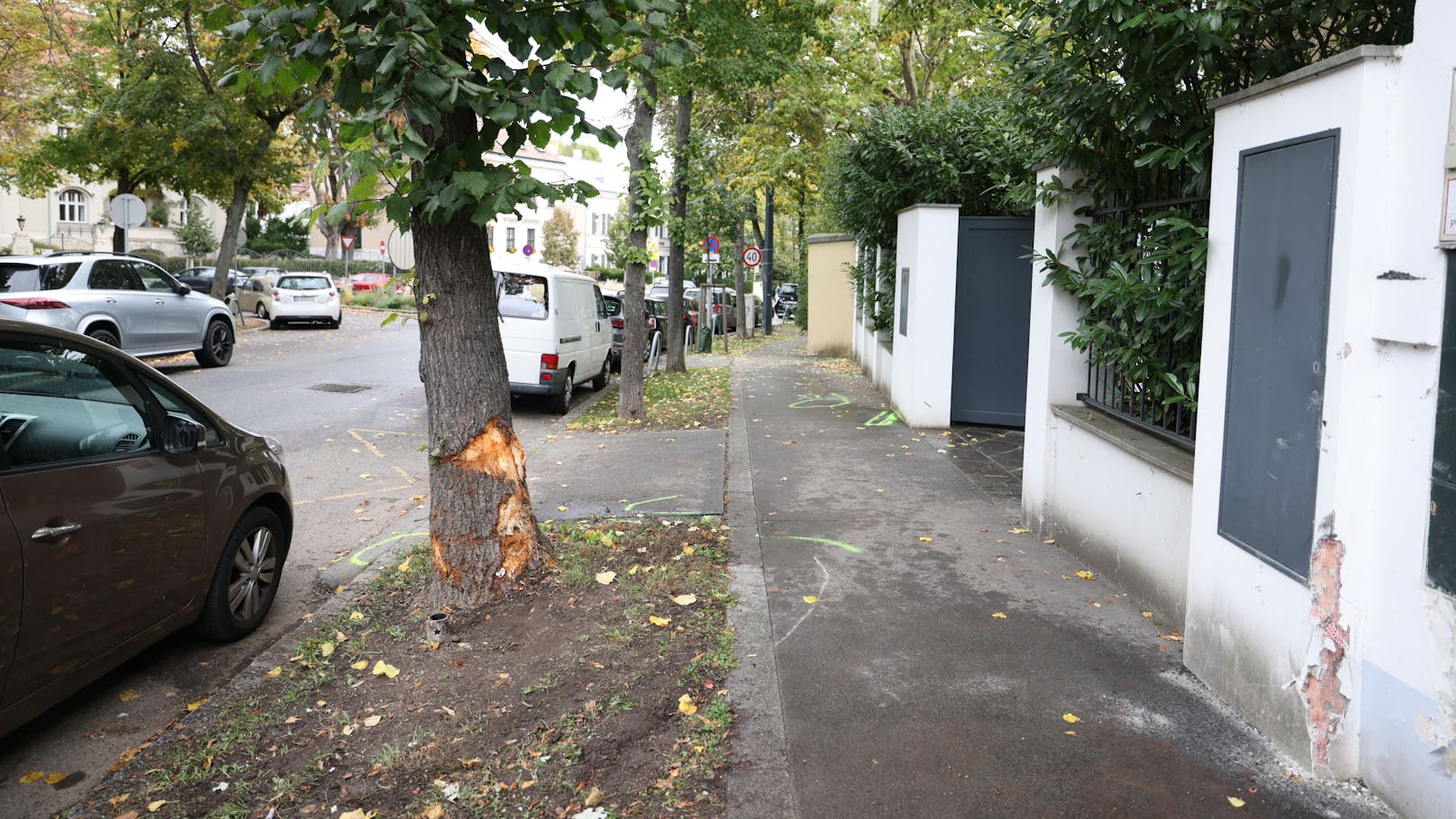 Gegen diesen Baum fuhr der 61-jährige Wiener.