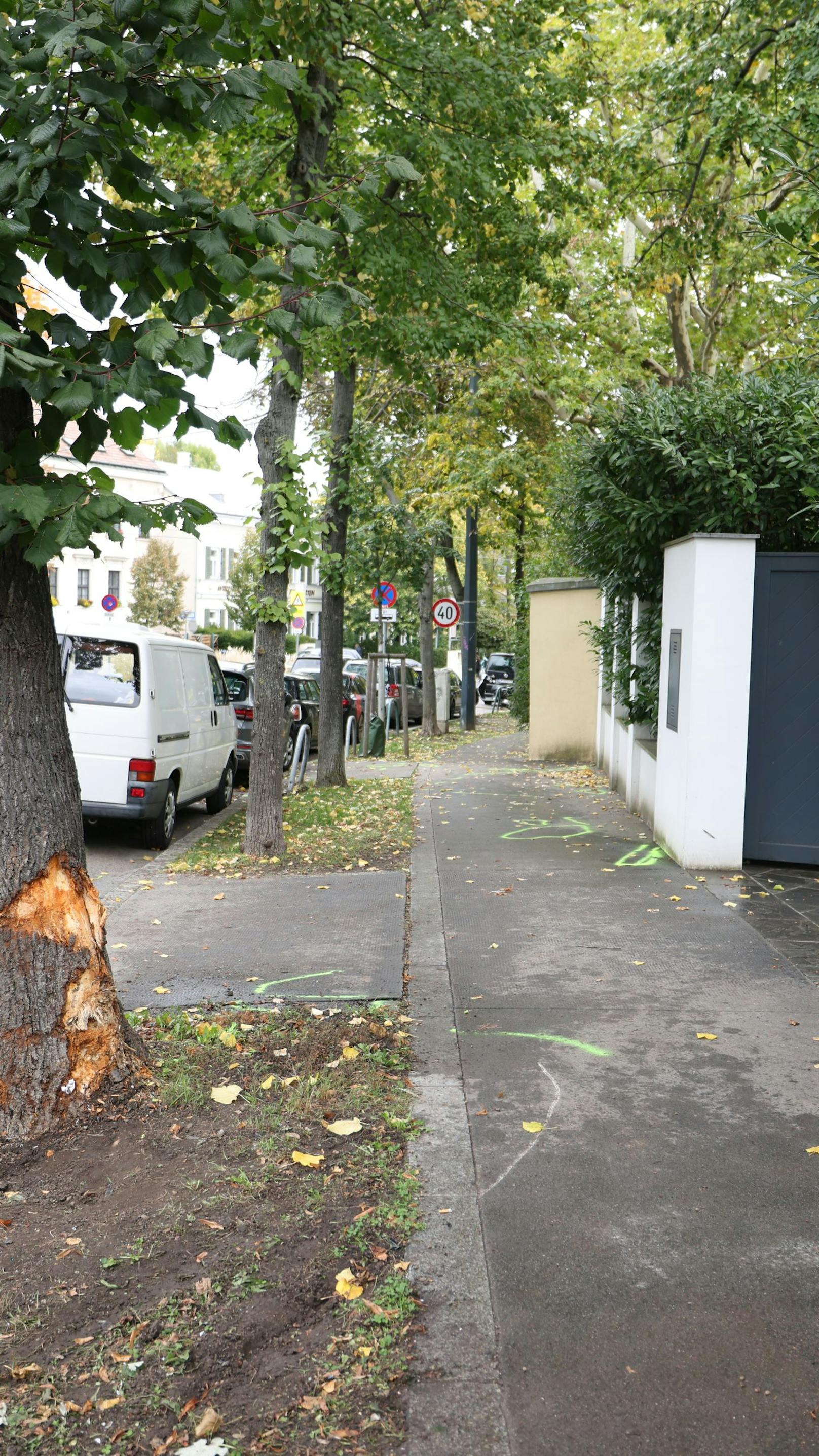 Tod in 40er-Zone: BMW-Lenker kracht gegen Baum