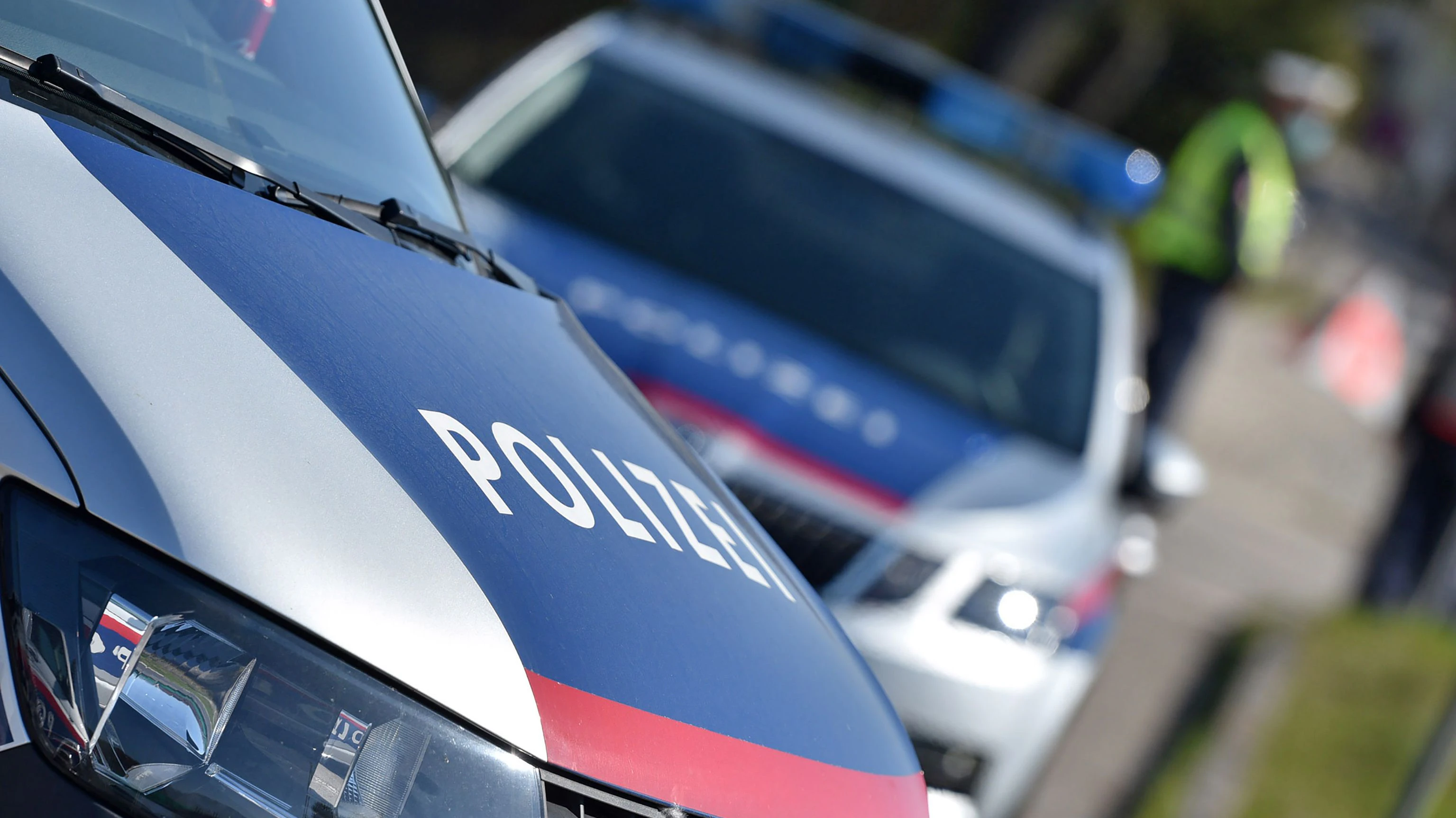 Die Polizei konnte mehrere Mitglieder der Bande ausforschen. (Symbolbild)