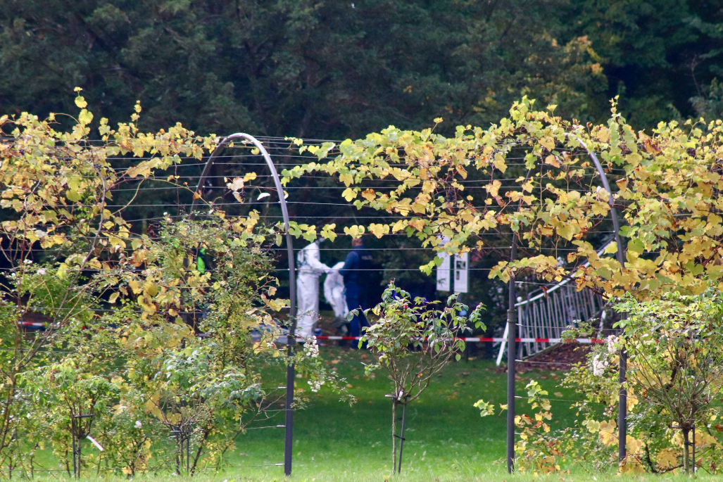 Am 15. Oktober 2024, gegen 6 Uhr, fand ein Jogger im Lindenhofpark eine weibliche Person erhängt unterhalb einer Brücke auf. Die Kriminalpolizei prüft nun, ob es sich um ein Gewaltverbrechen handelt.