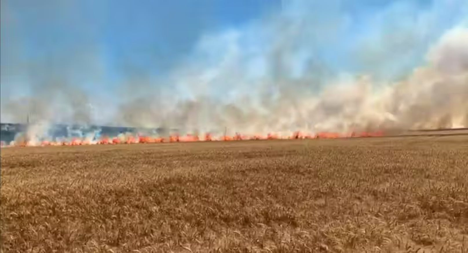 Felder in Flammen: Herabfallende Artillerie-Trümmer setzen viele landwirtschaftliche Flächen der Ukraine in Brand.