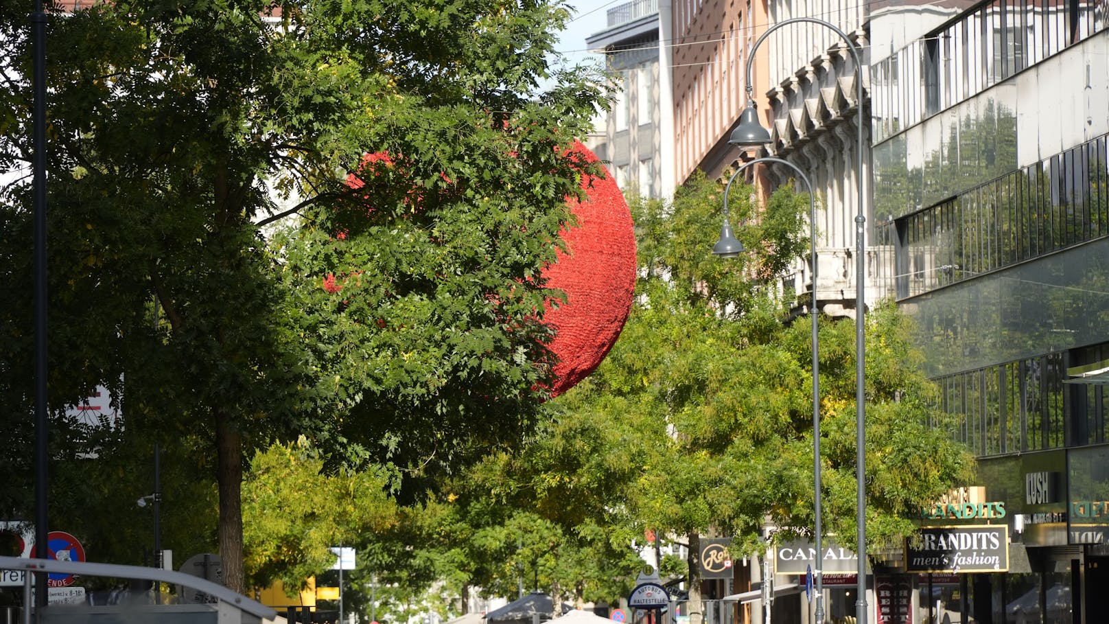 Es ist wieder so weit! In der Wiener Innenstadt wird es schon langsam weihnachtlich.