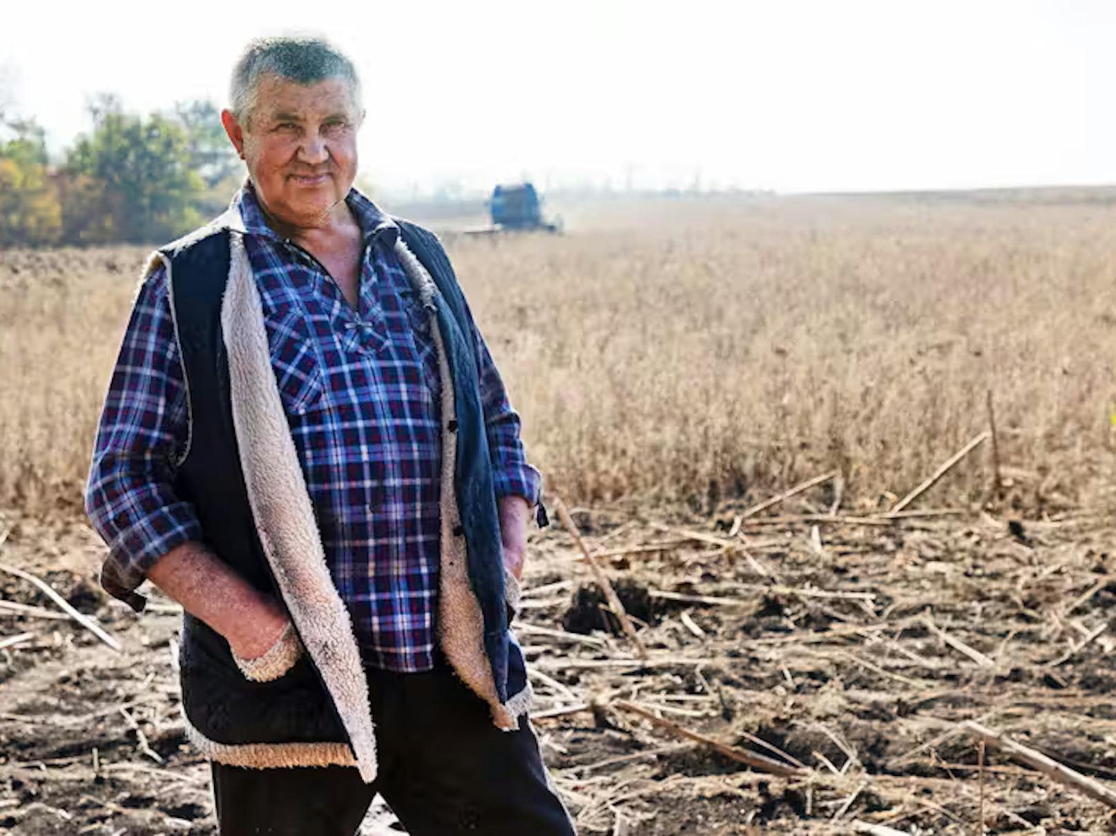 Die Front rückt näher: Mykola (57) aus Novomykolaivka im Osten der Ukraine erntet weiter.