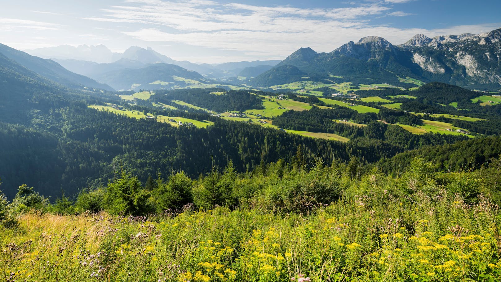 18-Jähriger weiß nicht mehr weiter, ruft Freundin an