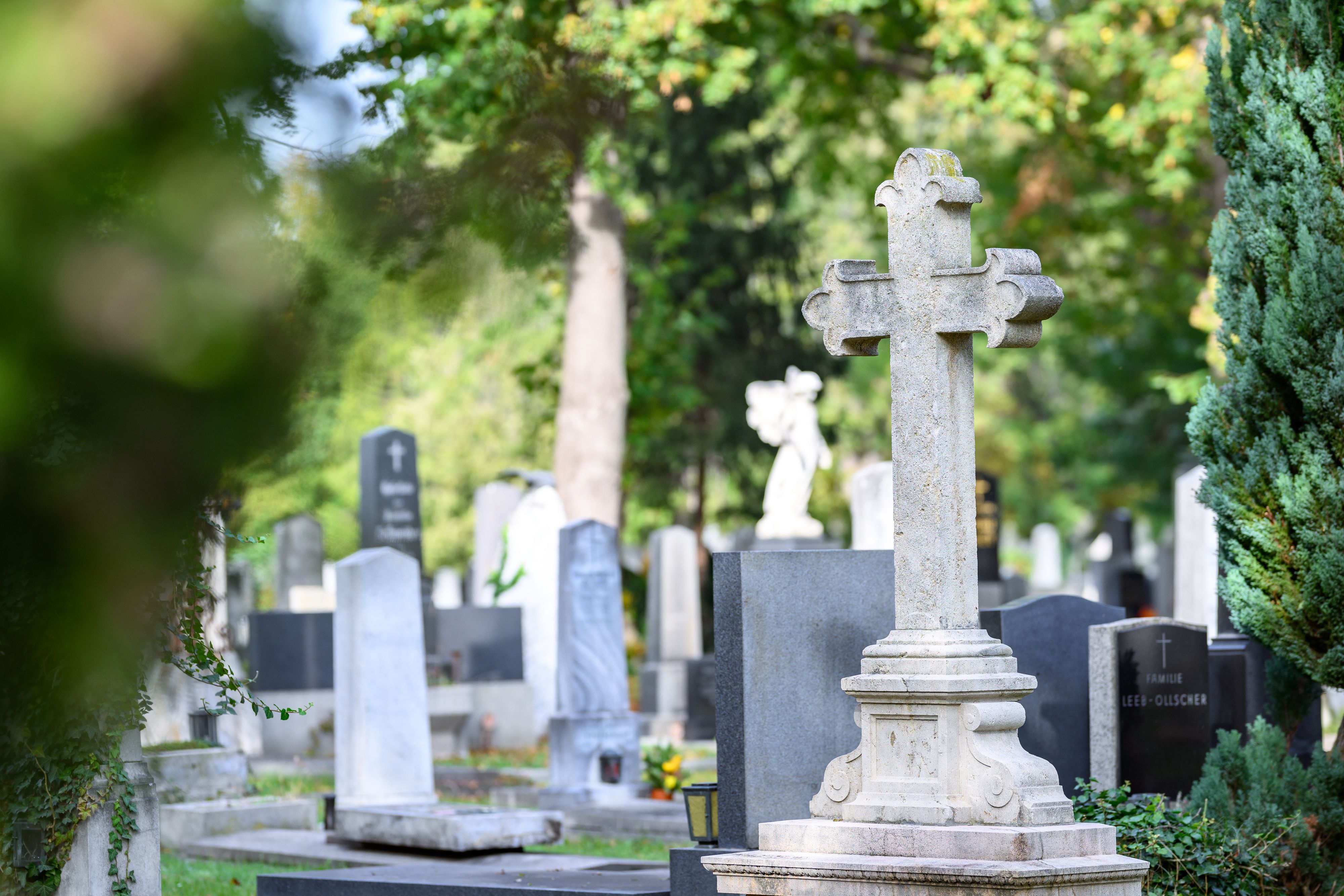 Zu Allerheiligen verdichten die Wiener Linien die Öffi-Intervalle auch zum Zentralfriedhof.