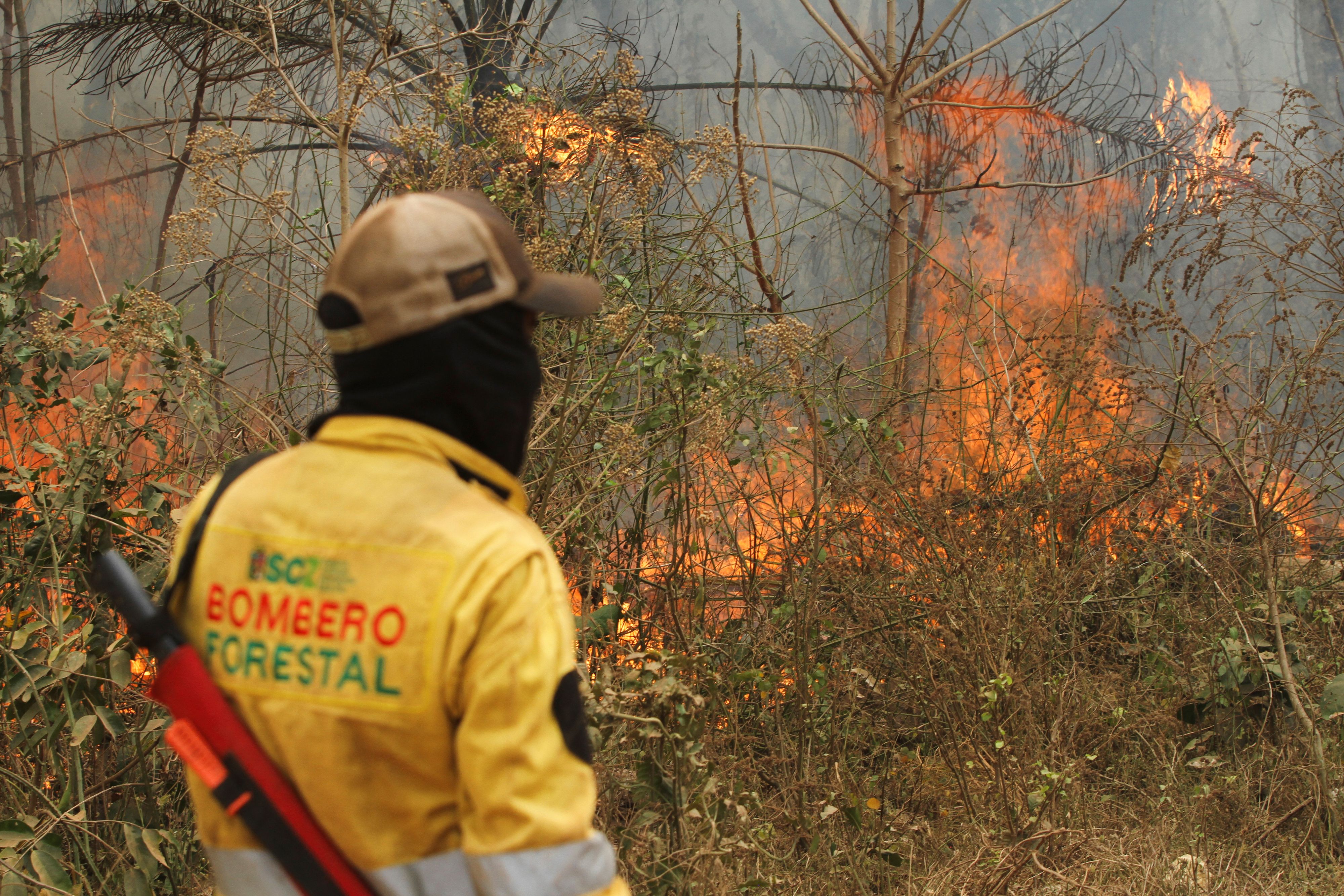 Die bisherigen Auswirkungen der seit Monaten anhaltenden Waldbrände in Bolivien sind fatal. (Im Bild die Region Concepcion, Mitte September 2024).