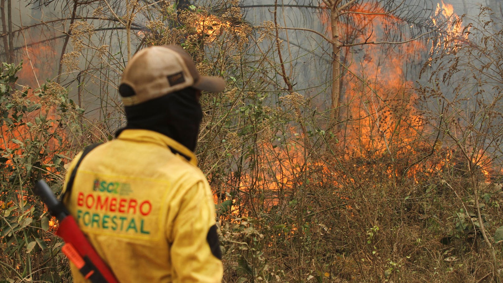 "Portugal brennt"! Feuer-Katastrophe tobt in Südamerika