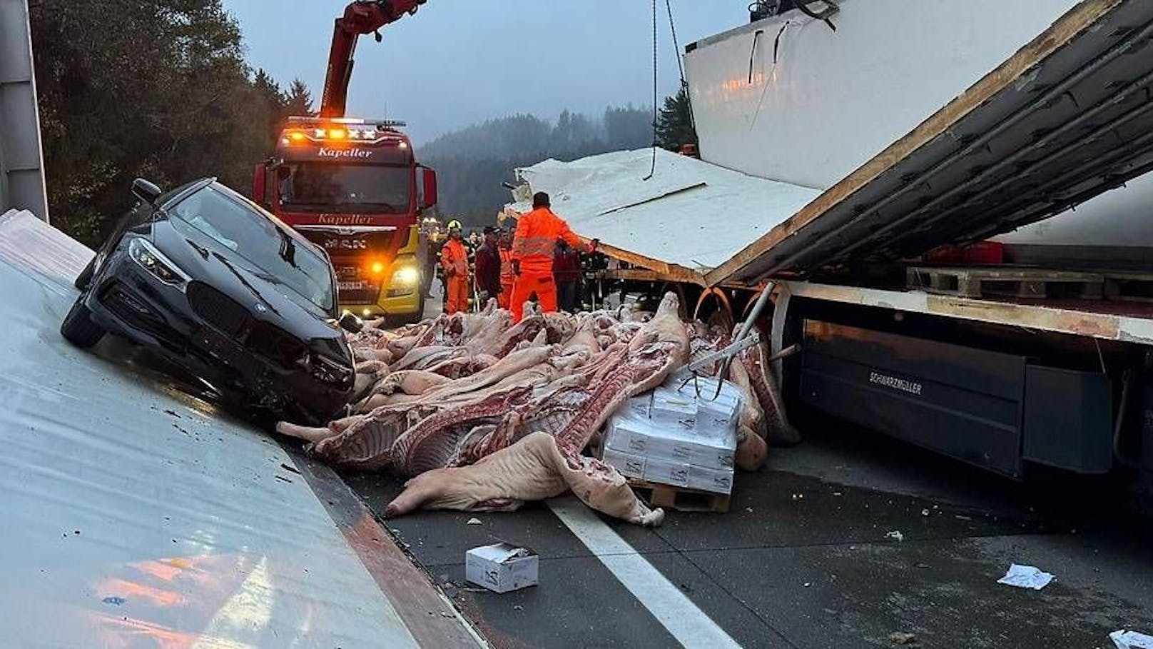 Nach einem Crash auf der Tauernautobahn bei Spittal lag tonnenweise Schweinefleisch auf der Fahrbahn.