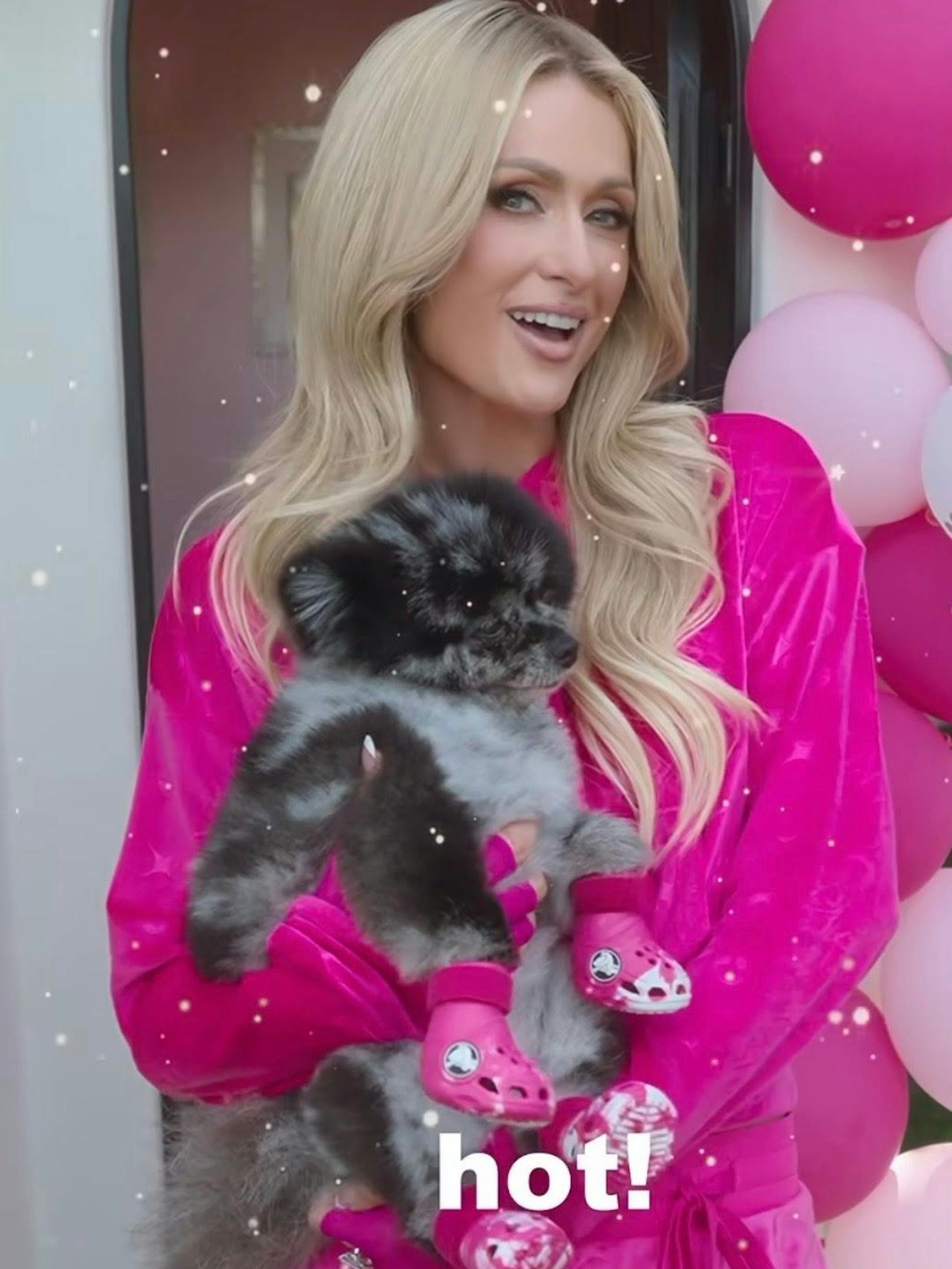 Paris Hilton mit Prince Tokyo Gizmo Hilton. Dem ersten Celebrity-Hund in Crocs. Ob diese Schuhe bald Trend werden?