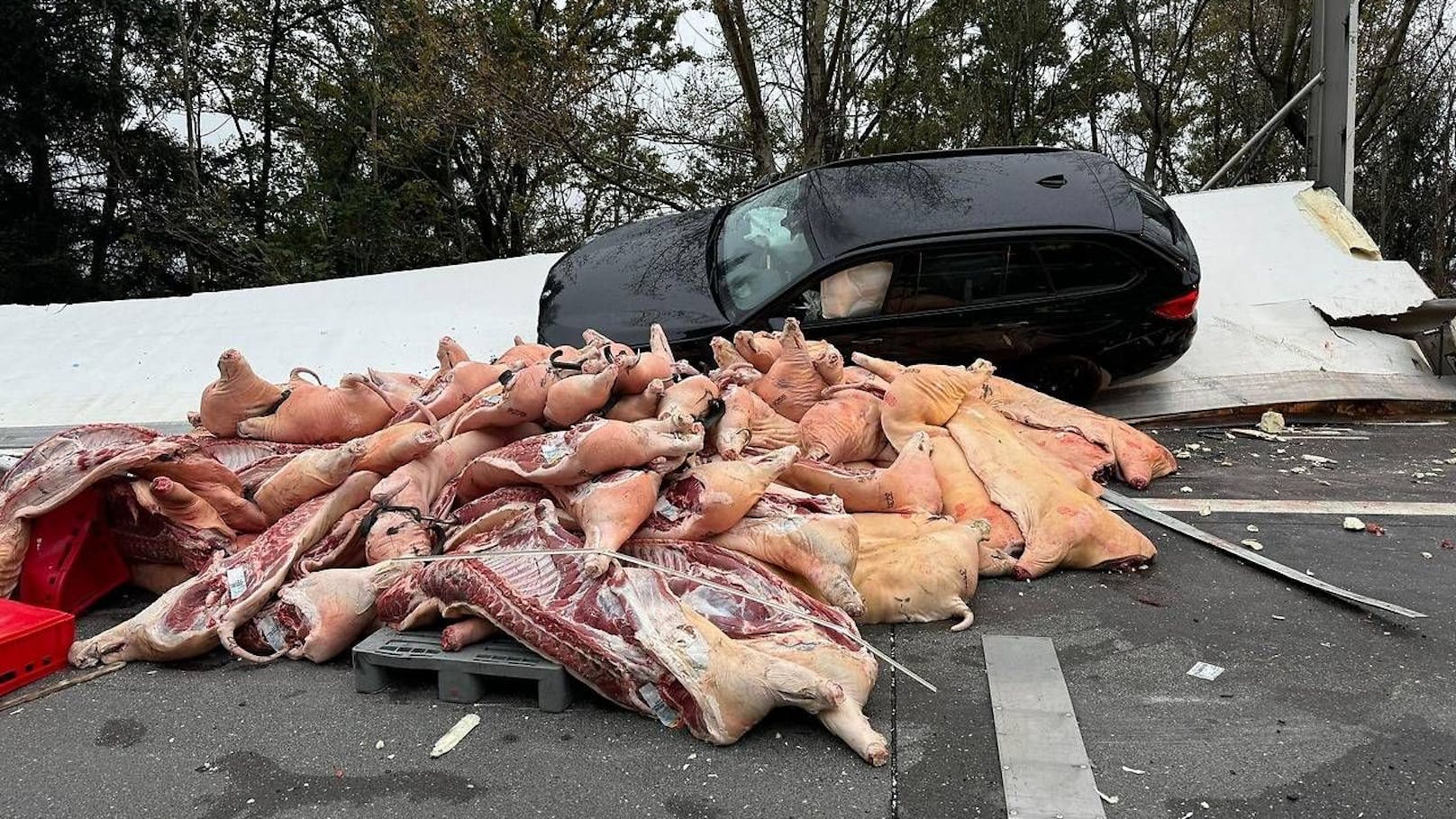 Crash auf A10 – tonnenweise Fleisch auf Fahrbahn