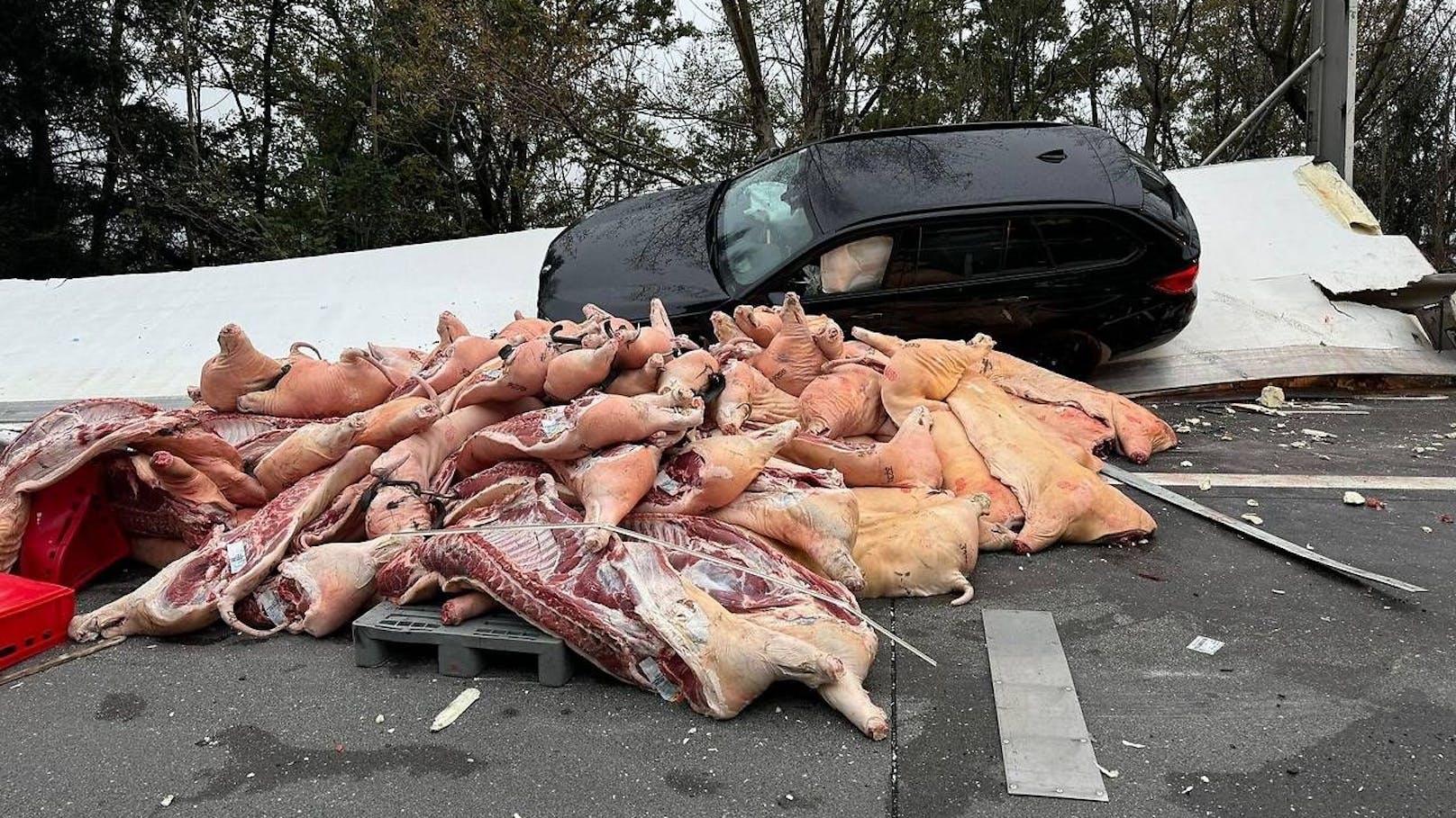 Nach einem Crash auf der Tauernautobahn bei Spittal lag tonnenweise Schweinefleisch auf der Fahrbahn.