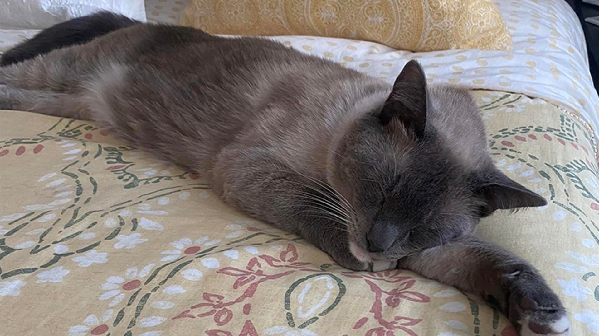 Nach so einer langen Reise muss einmal tüchtig ausgeschlafen werden.