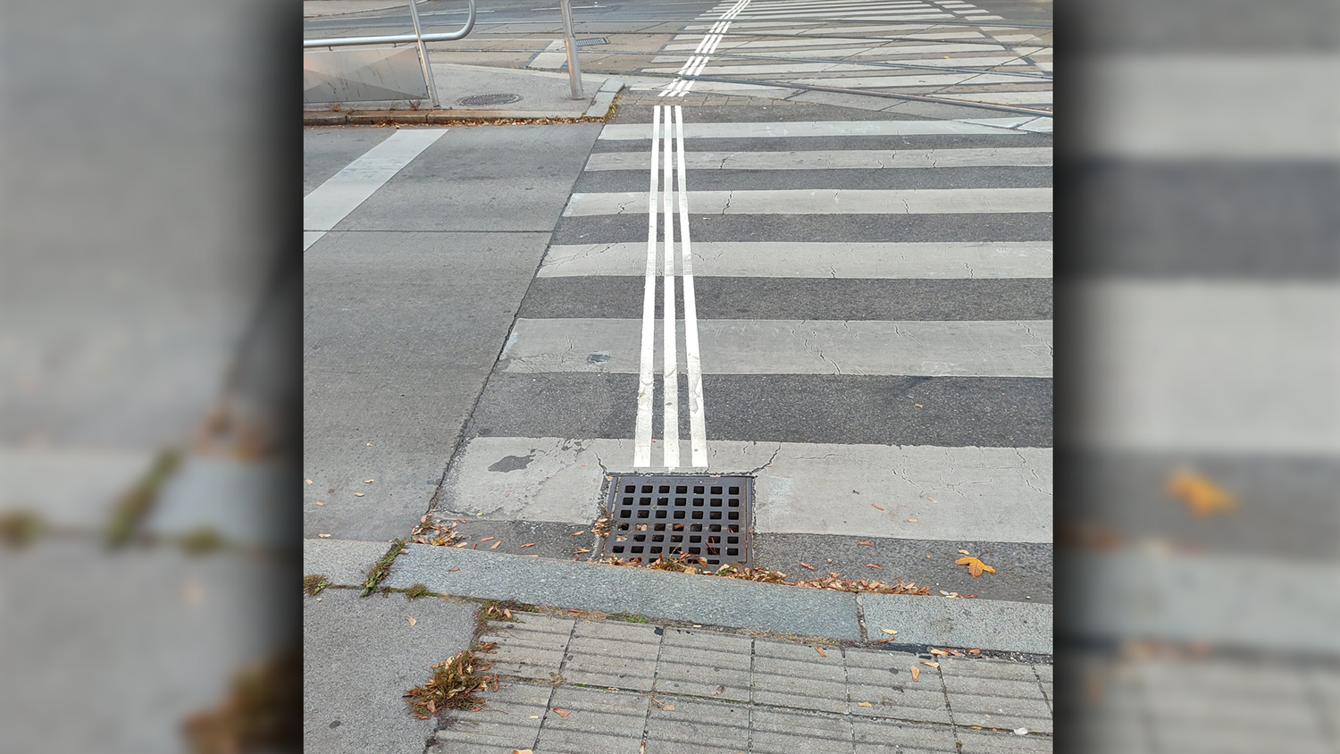 Das Blindenleitsystem in der Wernhardtstraße (16. Bezirk) sorgt für viel Verwirrung: 