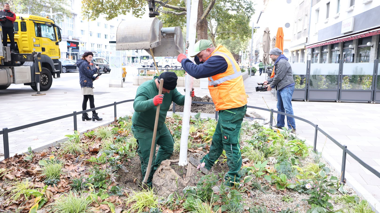 Auch 50 neue Bäume wurden gepflanzt.