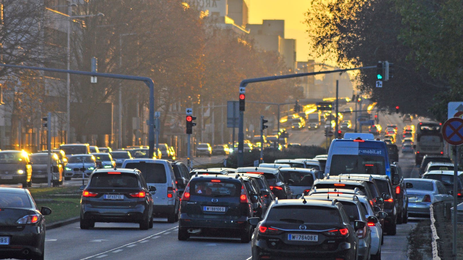 100 Bäume kommen – bekannte Straße wird zur Stauzone