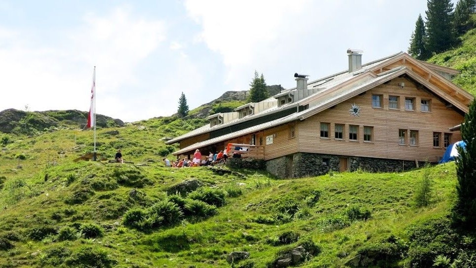 Heute.at - Kitz-Hütte vor dem Aus, weil seltener Fasan dort lebt