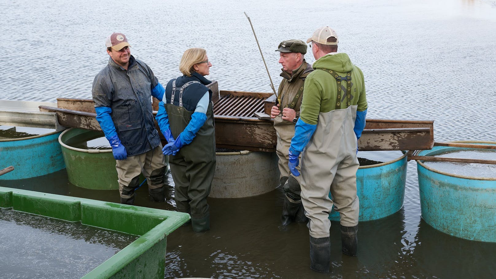 Landeshauptfrau Johanna Mikl-Leitner stattete dem Waldviertel einen Besuch ab und ging beim "Fischtanz" in Litschau mit Waldviertler Karpfen auf Tuchfühlung.