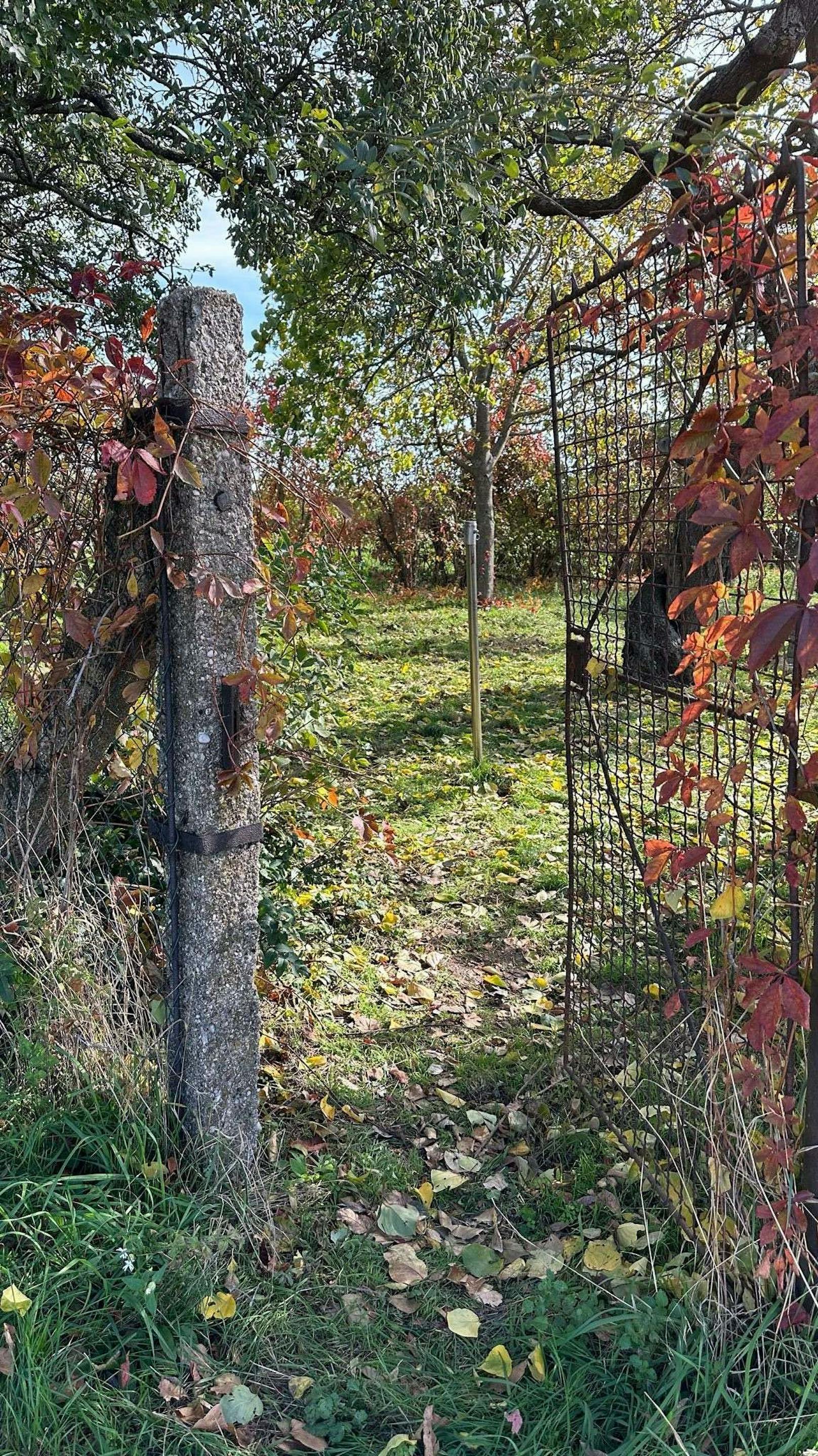 Bluttat in Gösting: Der Weingarten