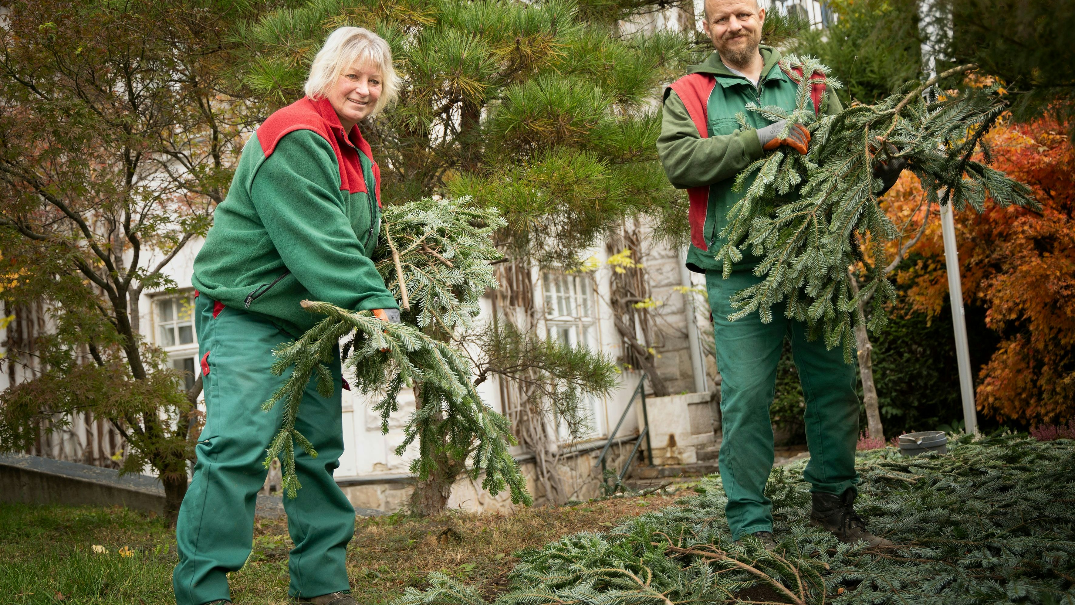 Reisig wird auf die Blumenbeete gelegt