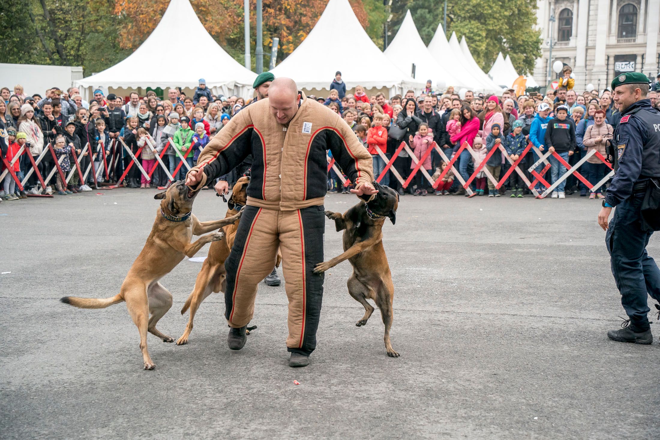Auch beim Wiener Sicherheitsfest 2023 am Rathausplatz waren die Polizeihunde ein Highlight