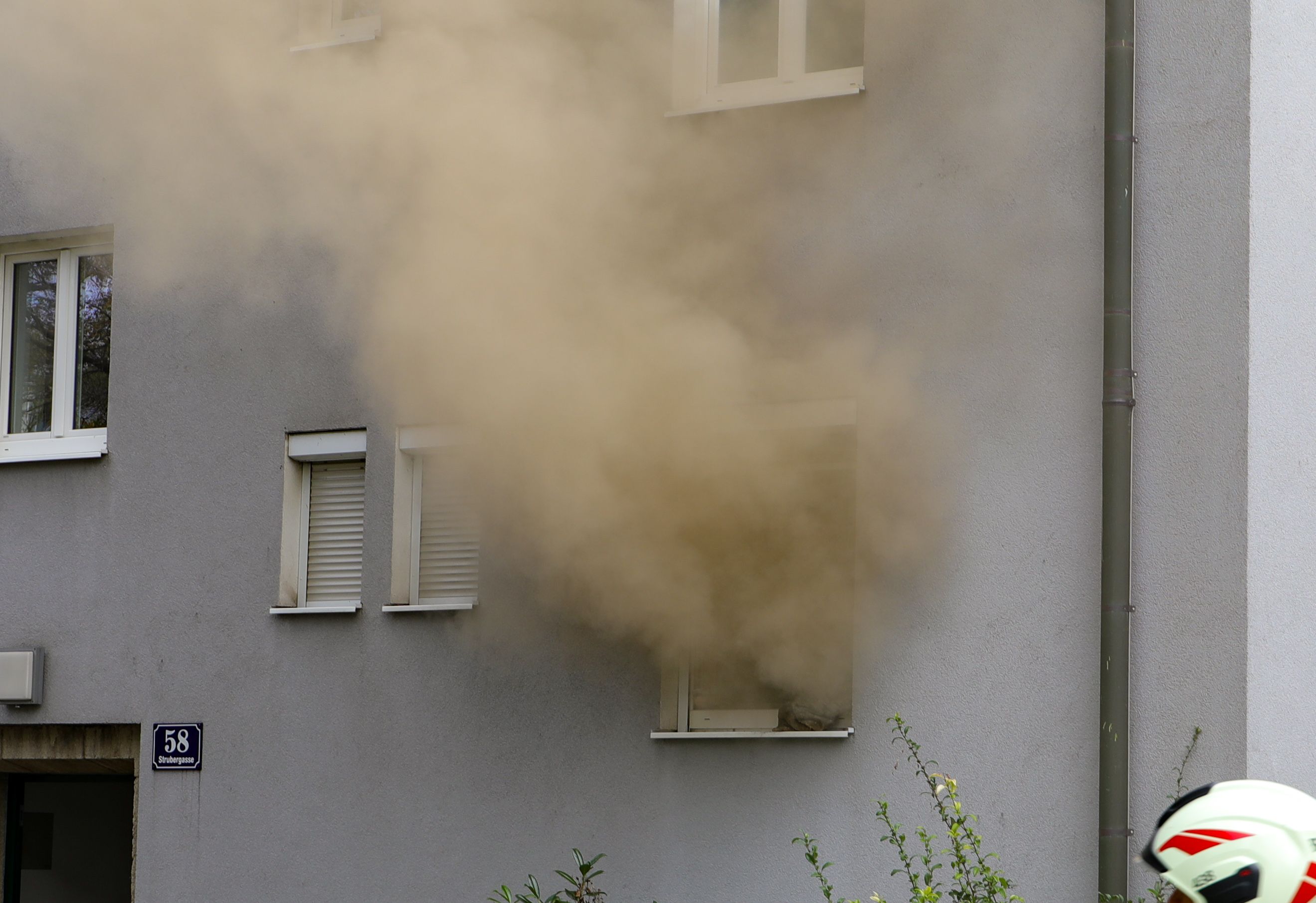 Der Bewohner erfolgte in letzter Sekunde.